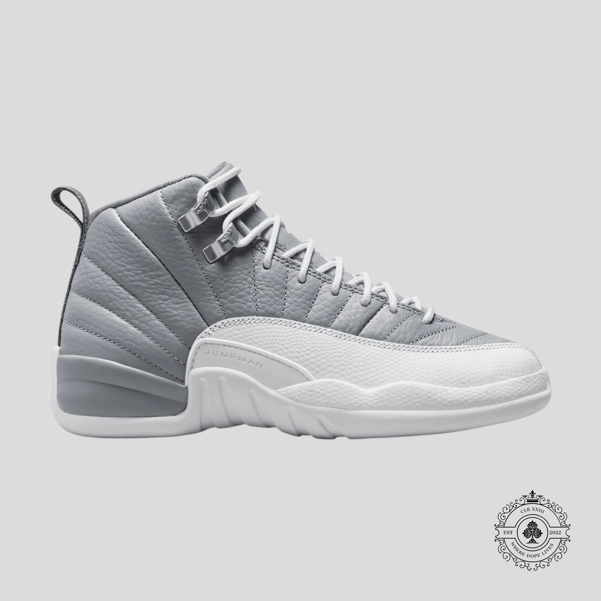 Air Jordan 12 Retro Stealth GS
