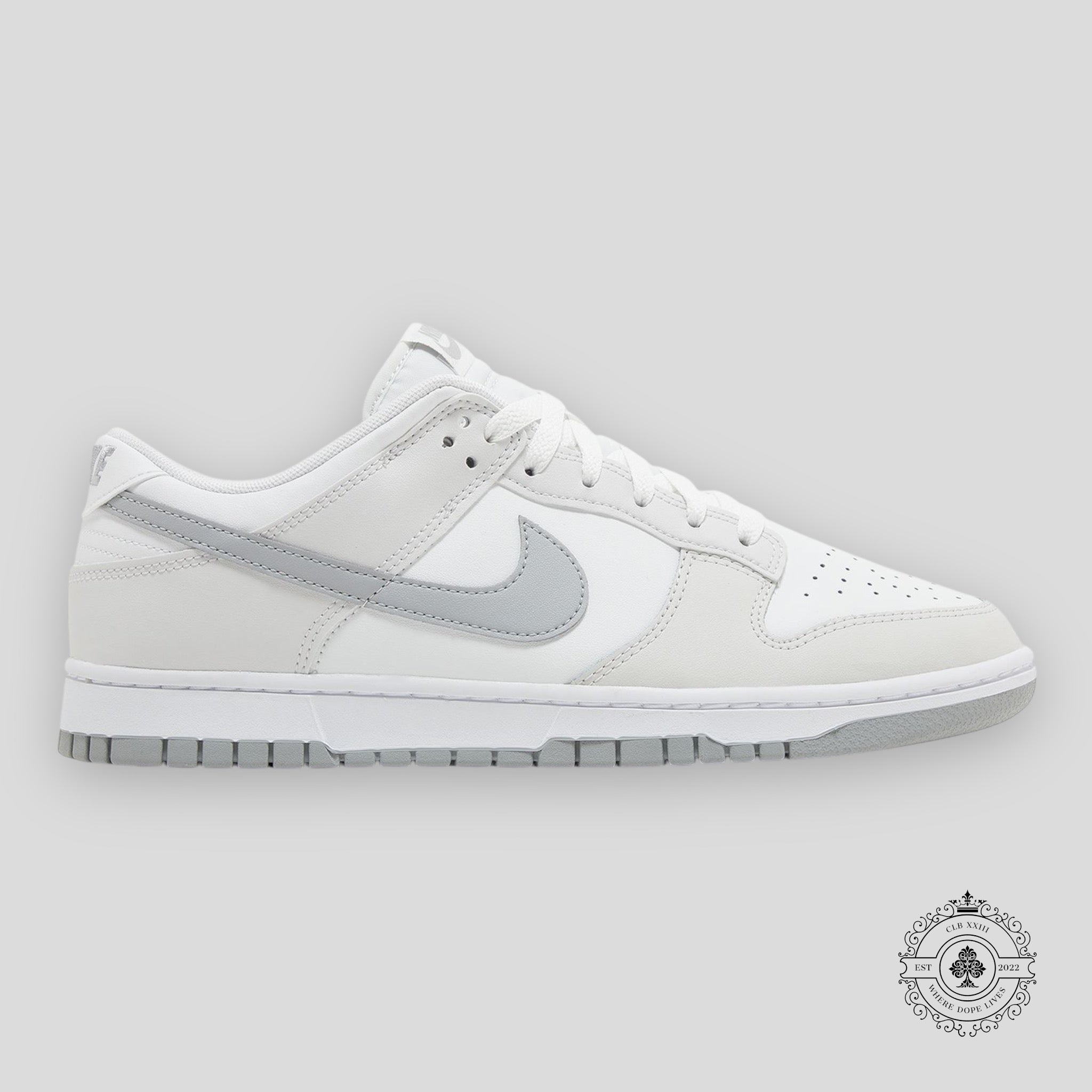 Nike Dunk Low Retro Summit White Light Smoke Grey