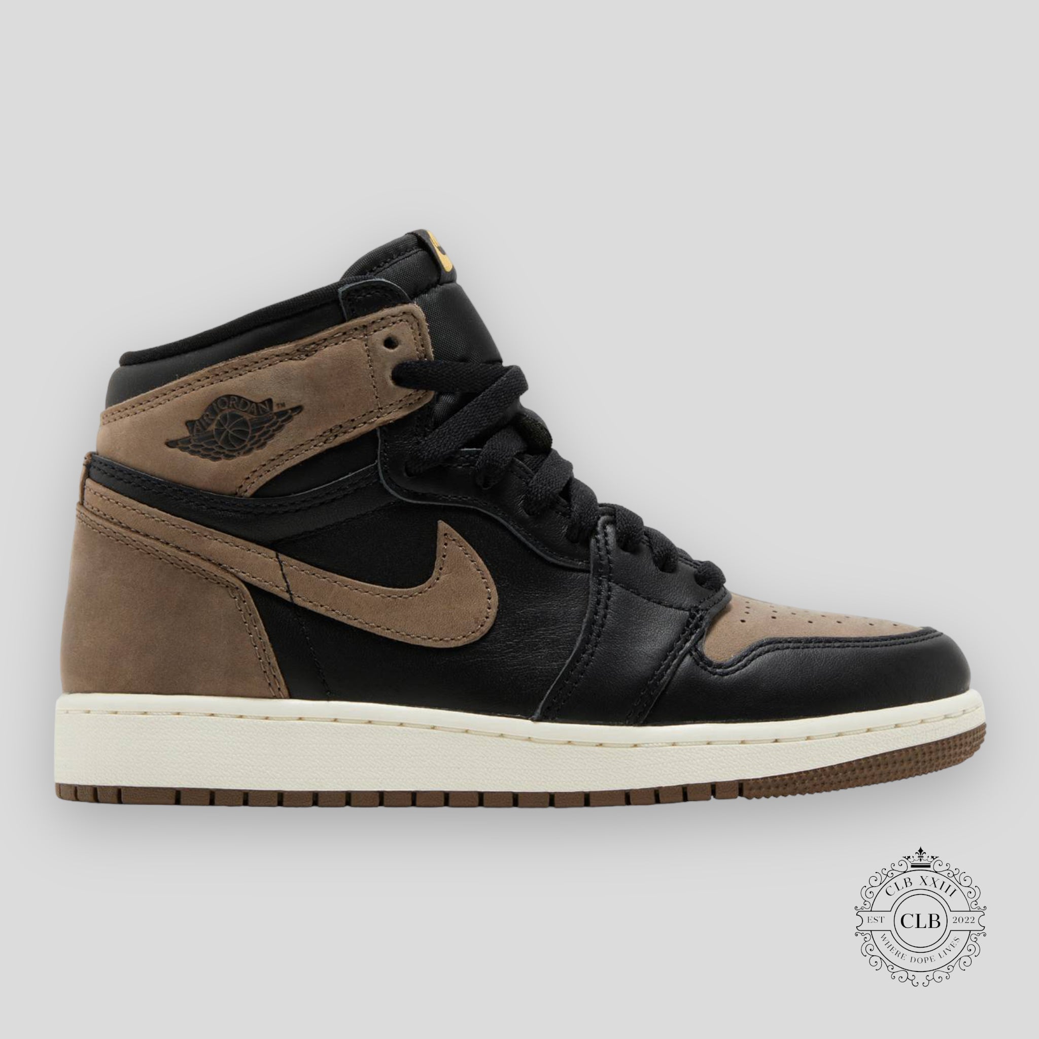 Air Jordan 1 Retro High OG GS Palomino
