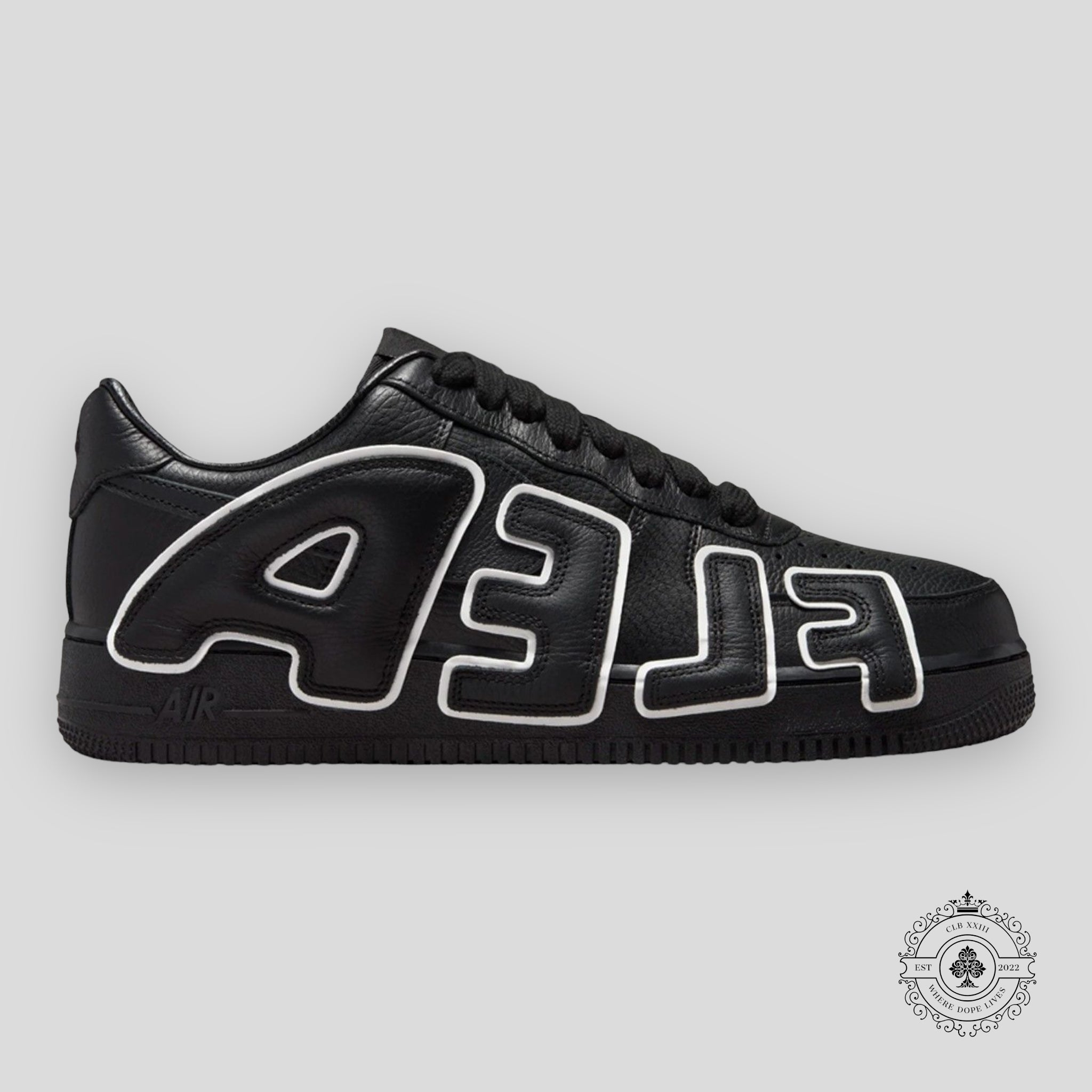 Nike Air Force 1 Low Cactus Plant Flea Market Black 2024