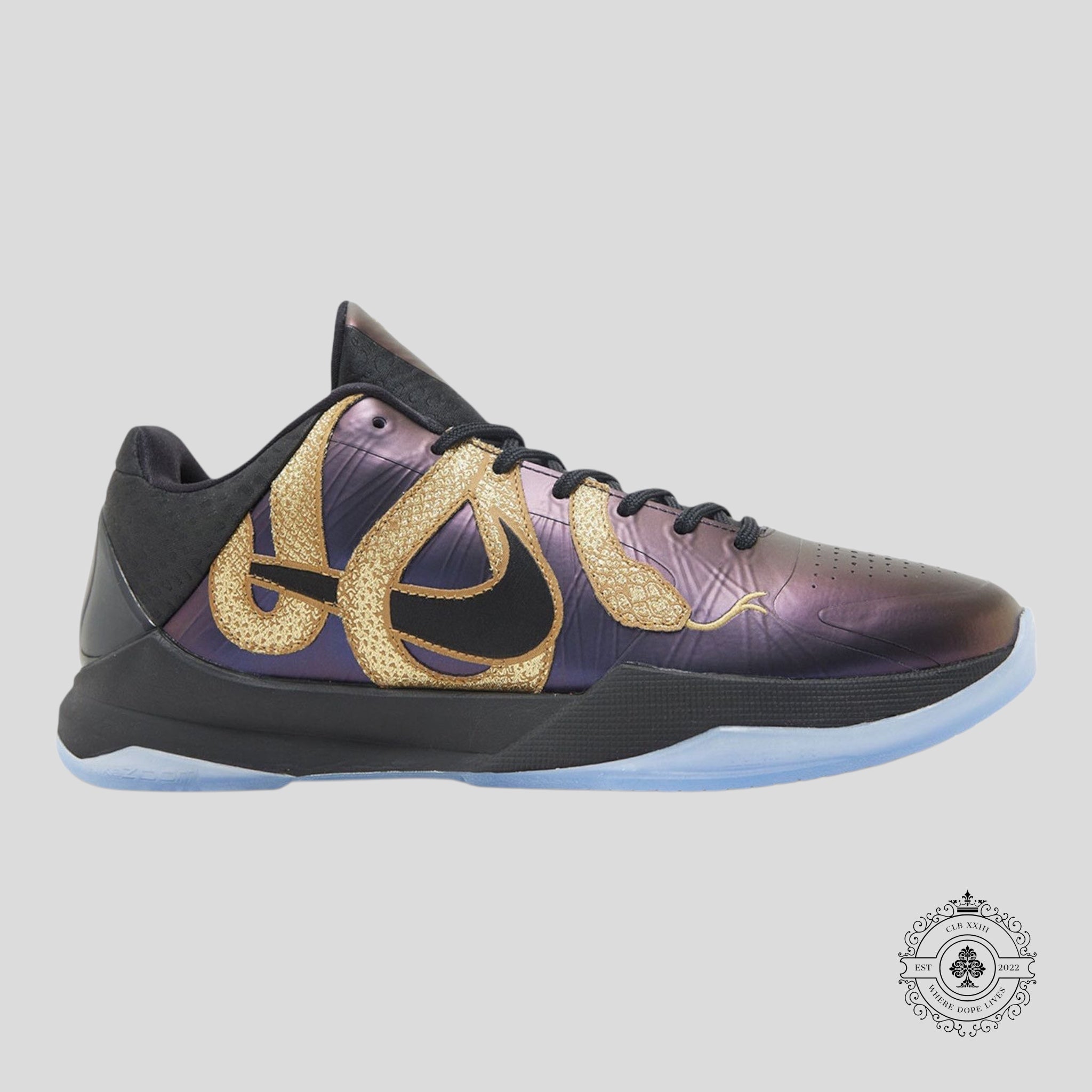 Nike Kobe 5 Protro Year of the Mamba Eggplant
