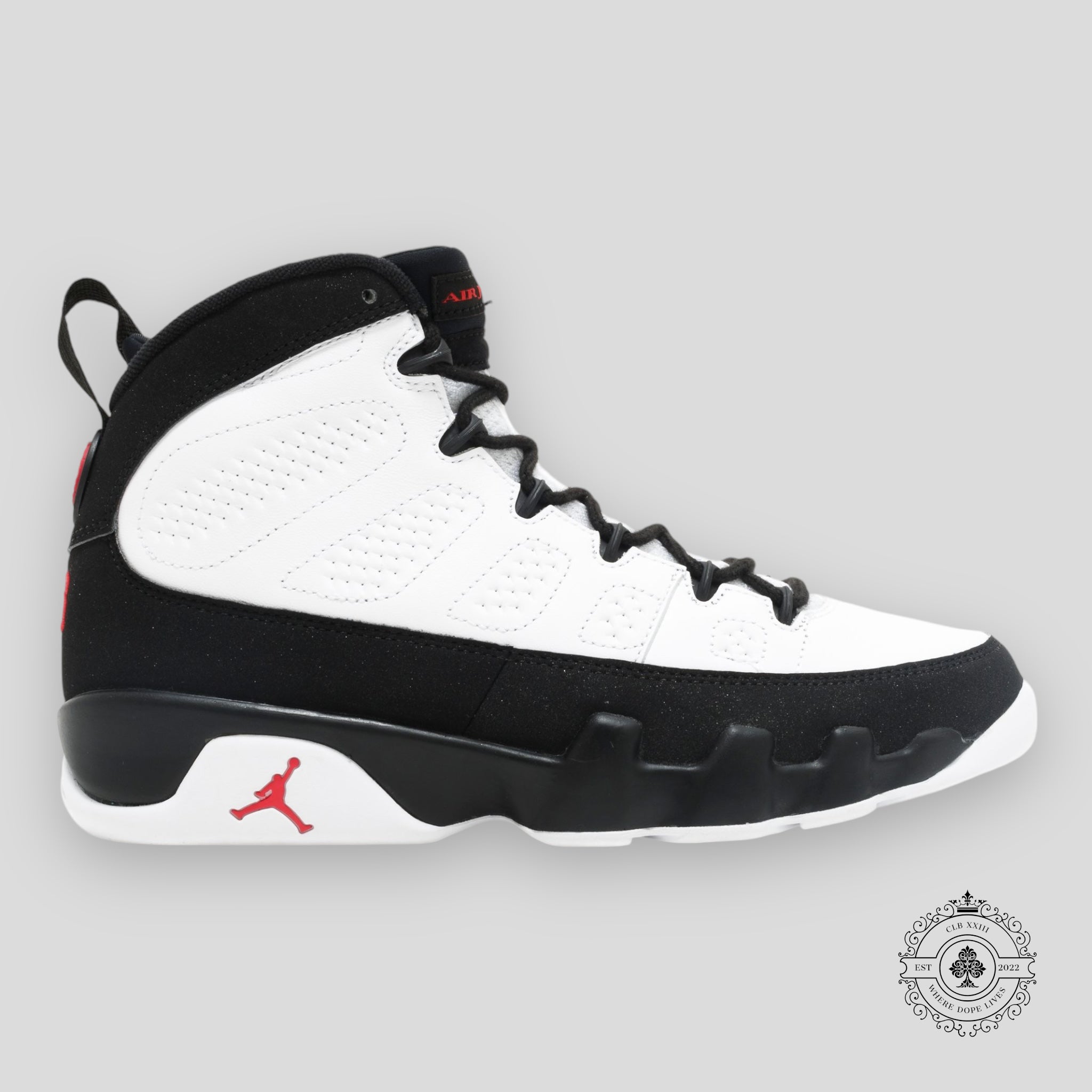 Air Jordan 9 Retro OG Space Jam