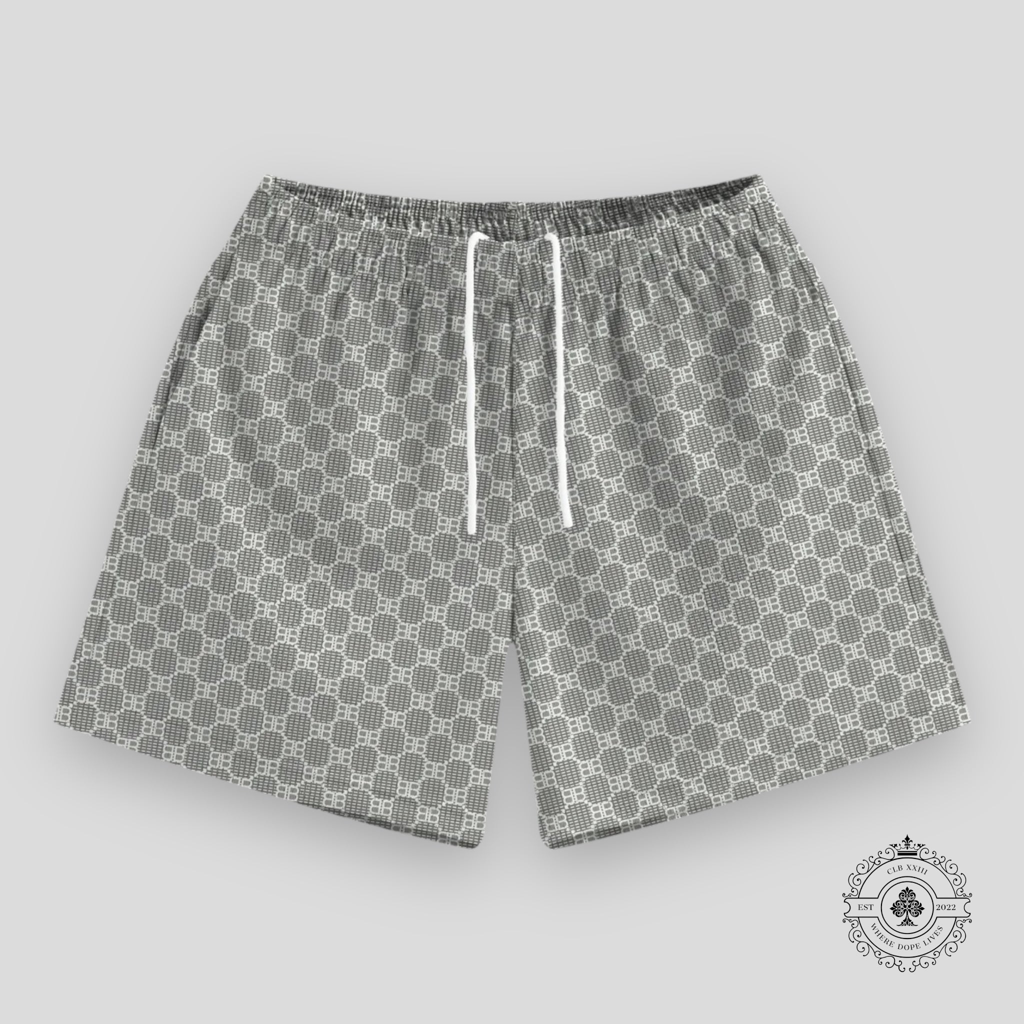 Bravest Studios Matrix Shorts in Slate Grey