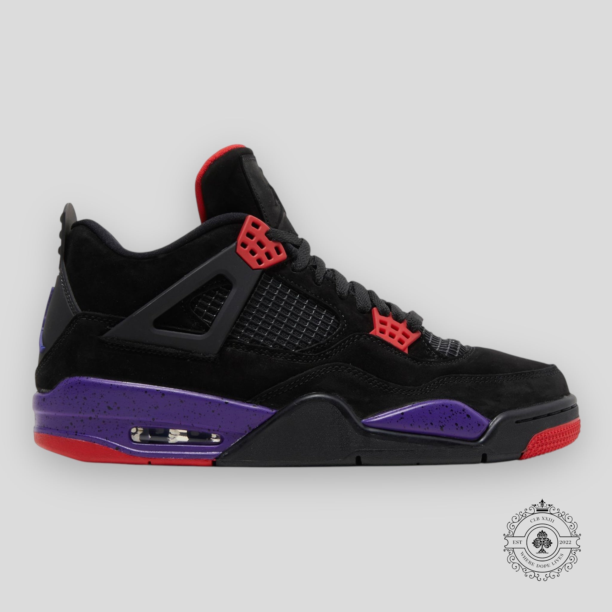 Air Jordan 4 Retro Raptors 2018