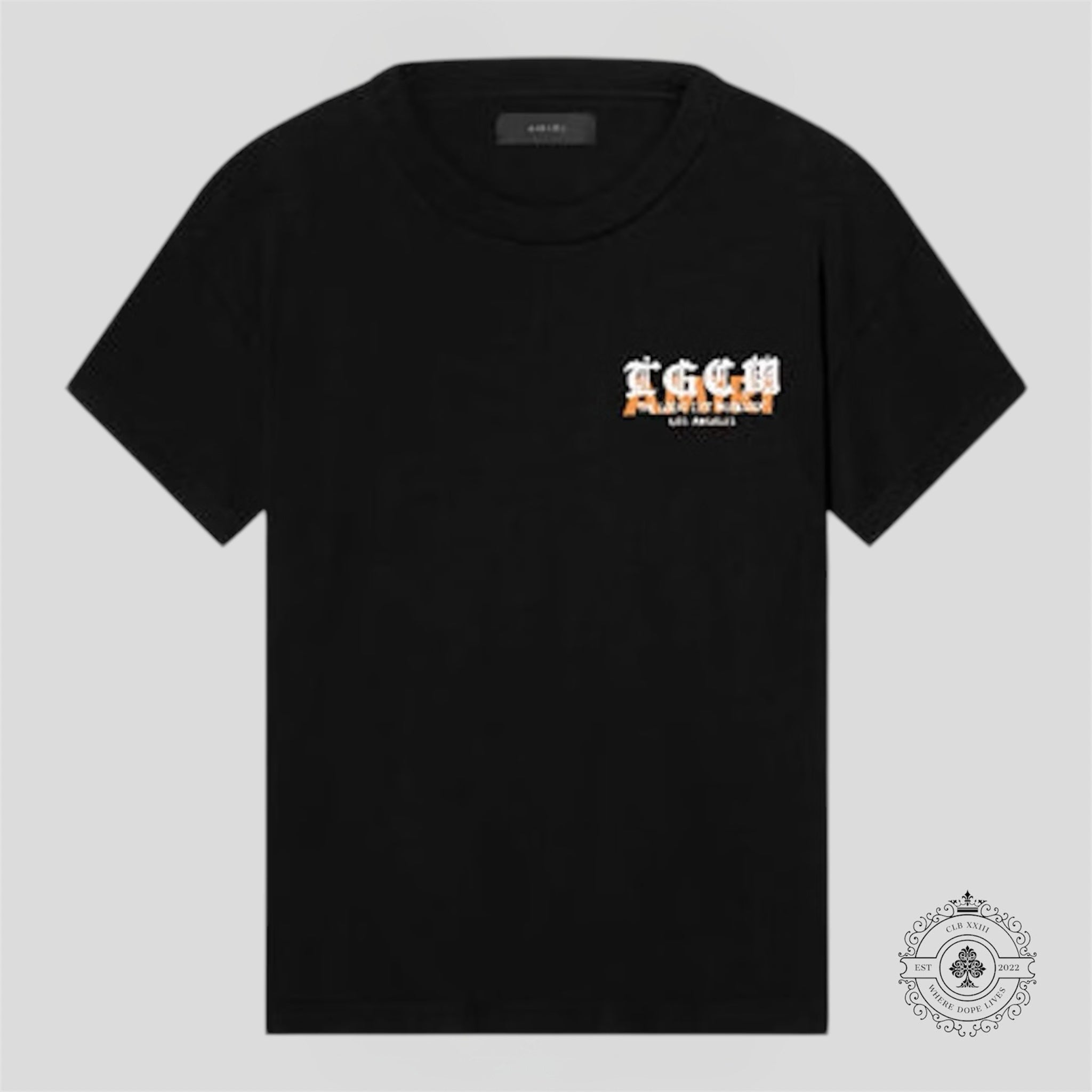 Amiri Tgcw Tee in Black