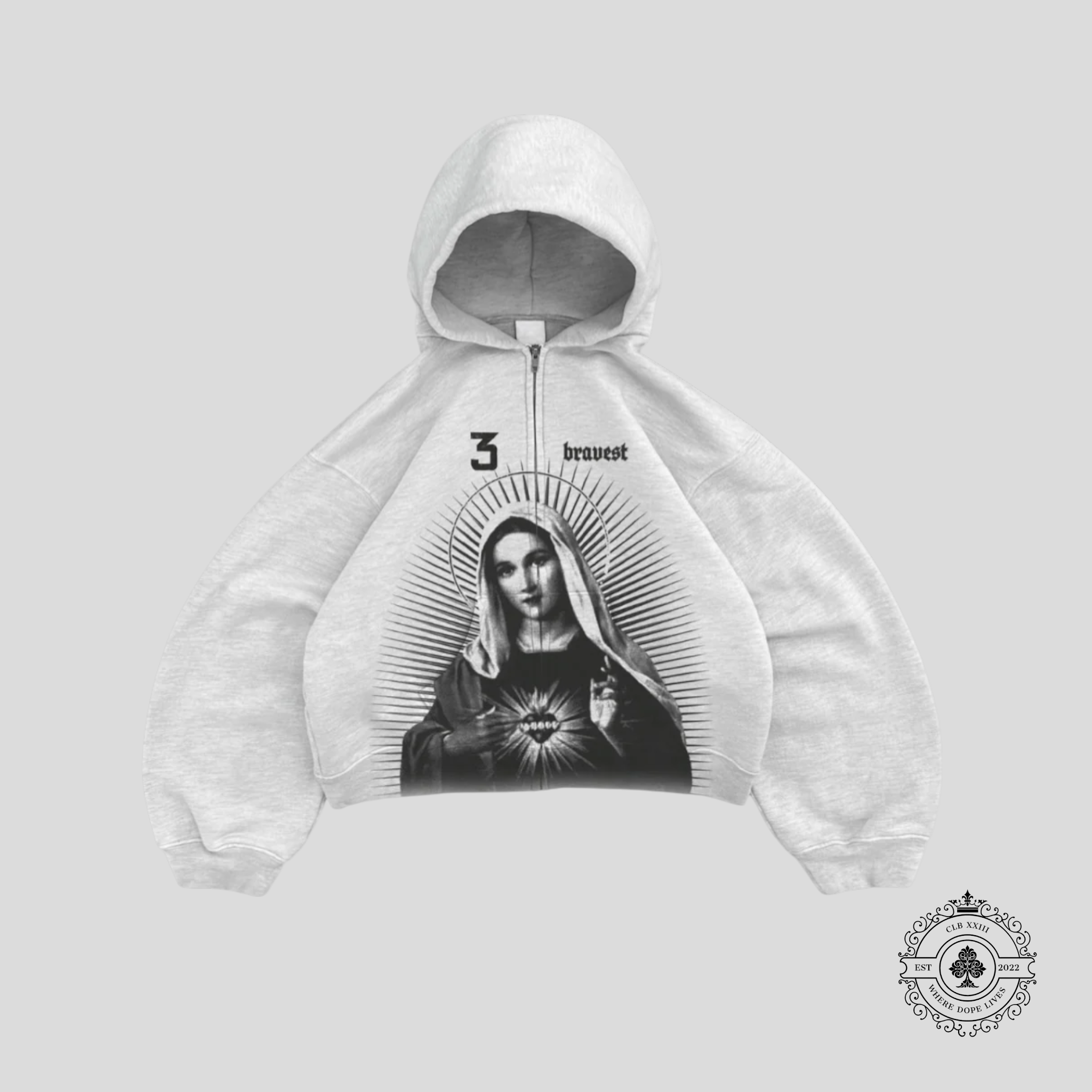 Bravest Studios Mary Zip Up Hoodie in Grey