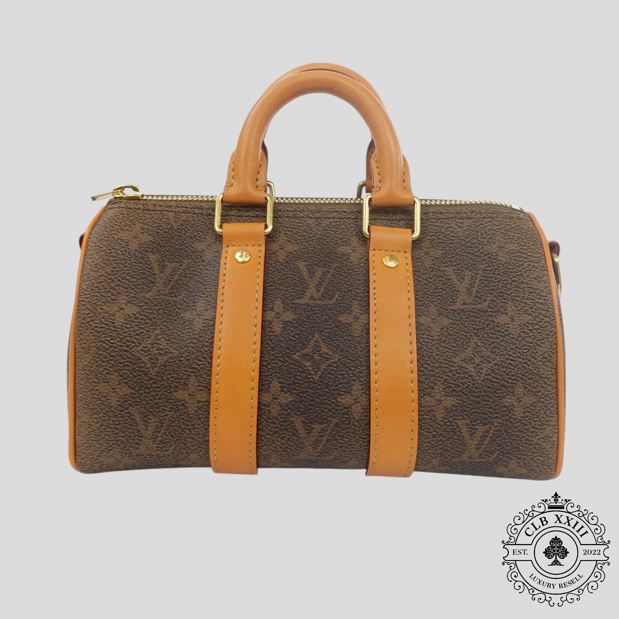 Louis Vuitton Monogram Dust Keepall 25