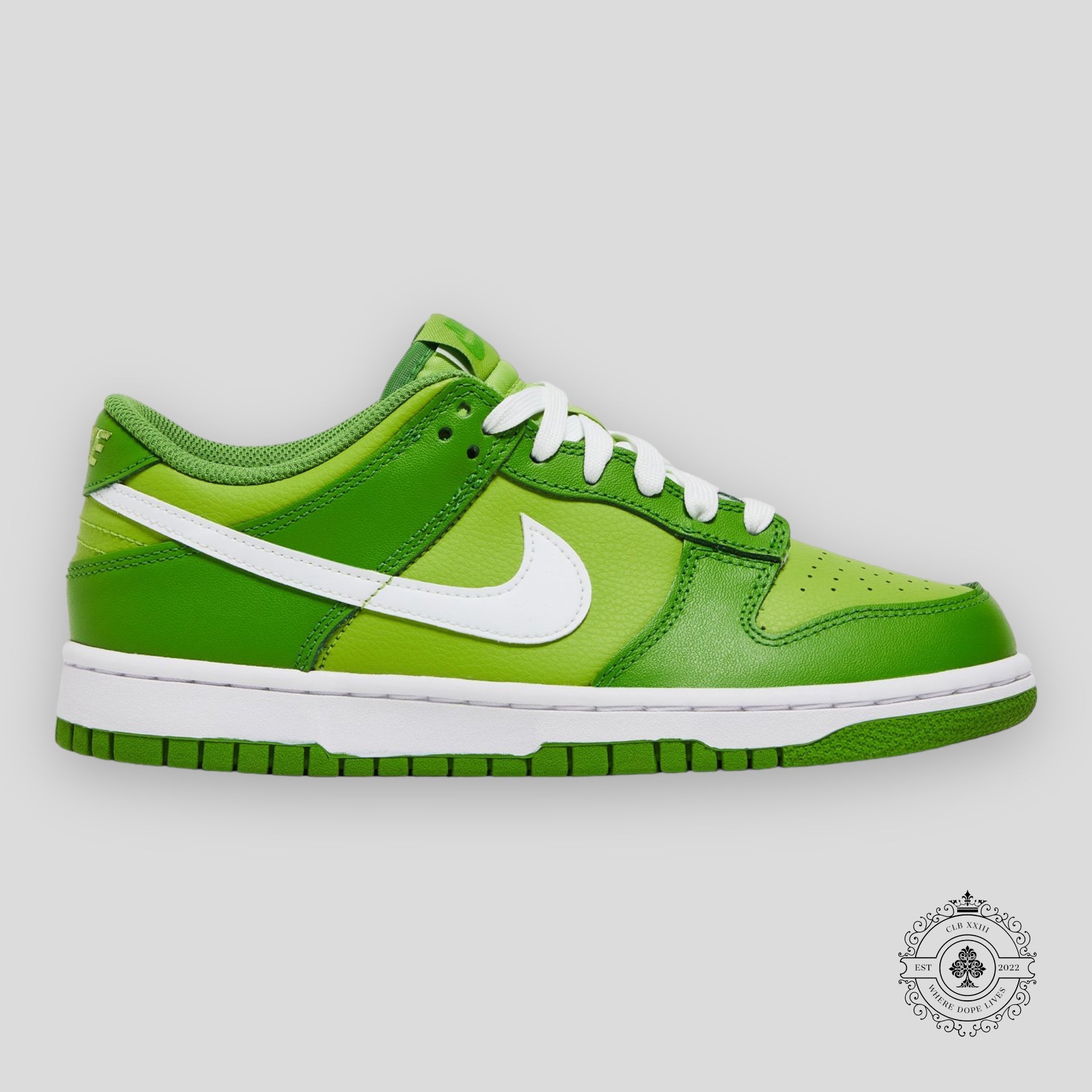 Nike Dunk Low GS Chlorophyll