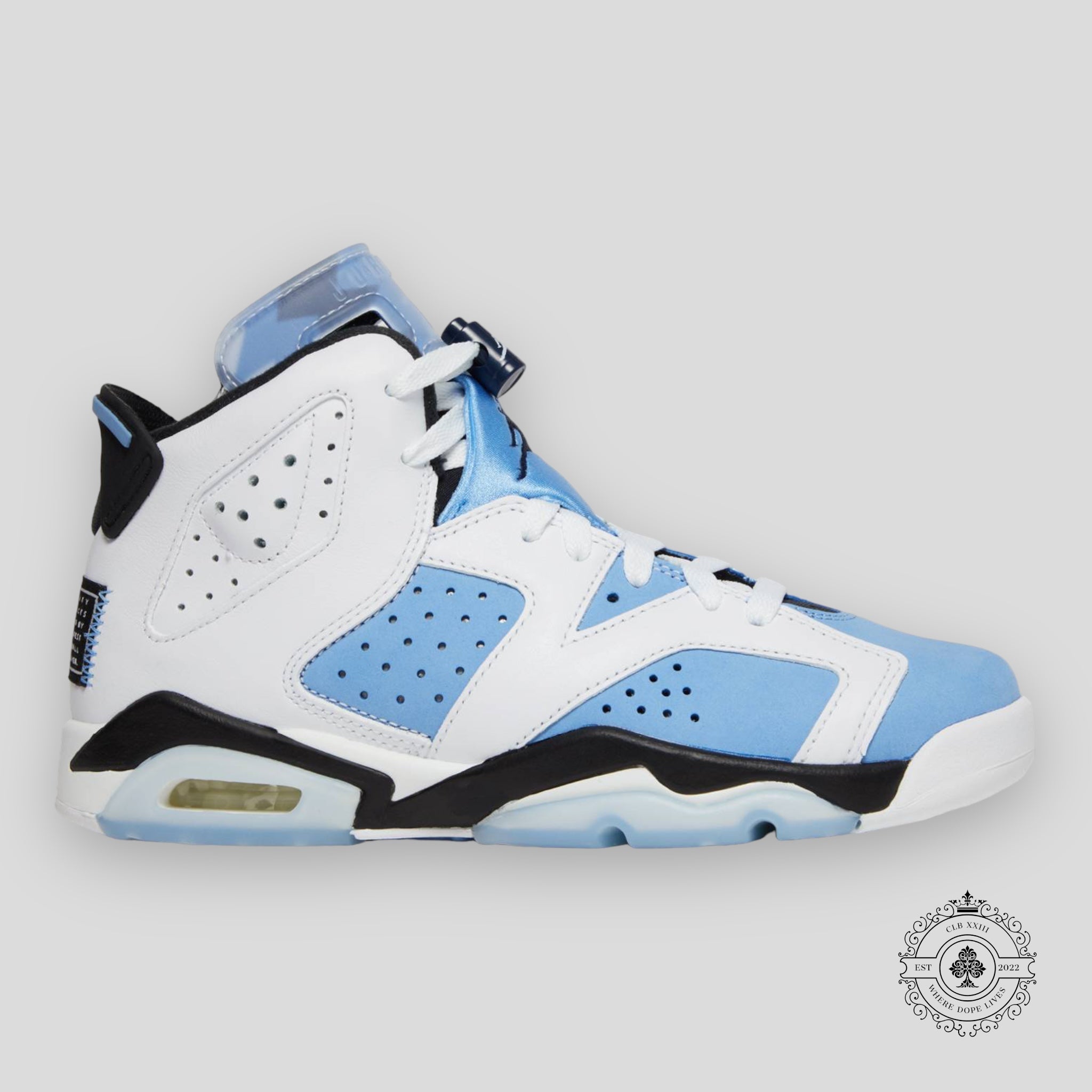 Air Jordan 6 Retro GS UNC White