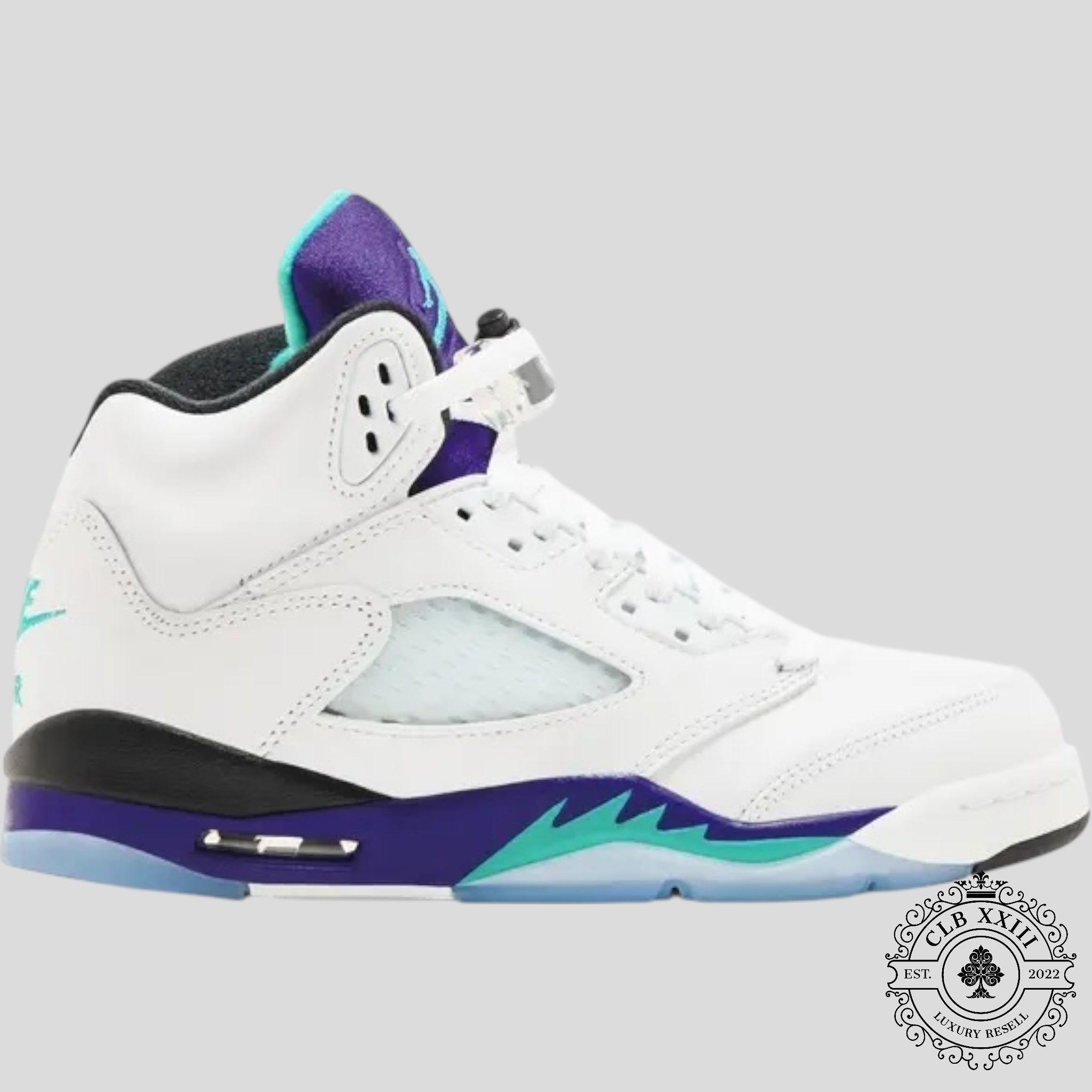 Air Jordan 5 Retro Grape 2025 GS