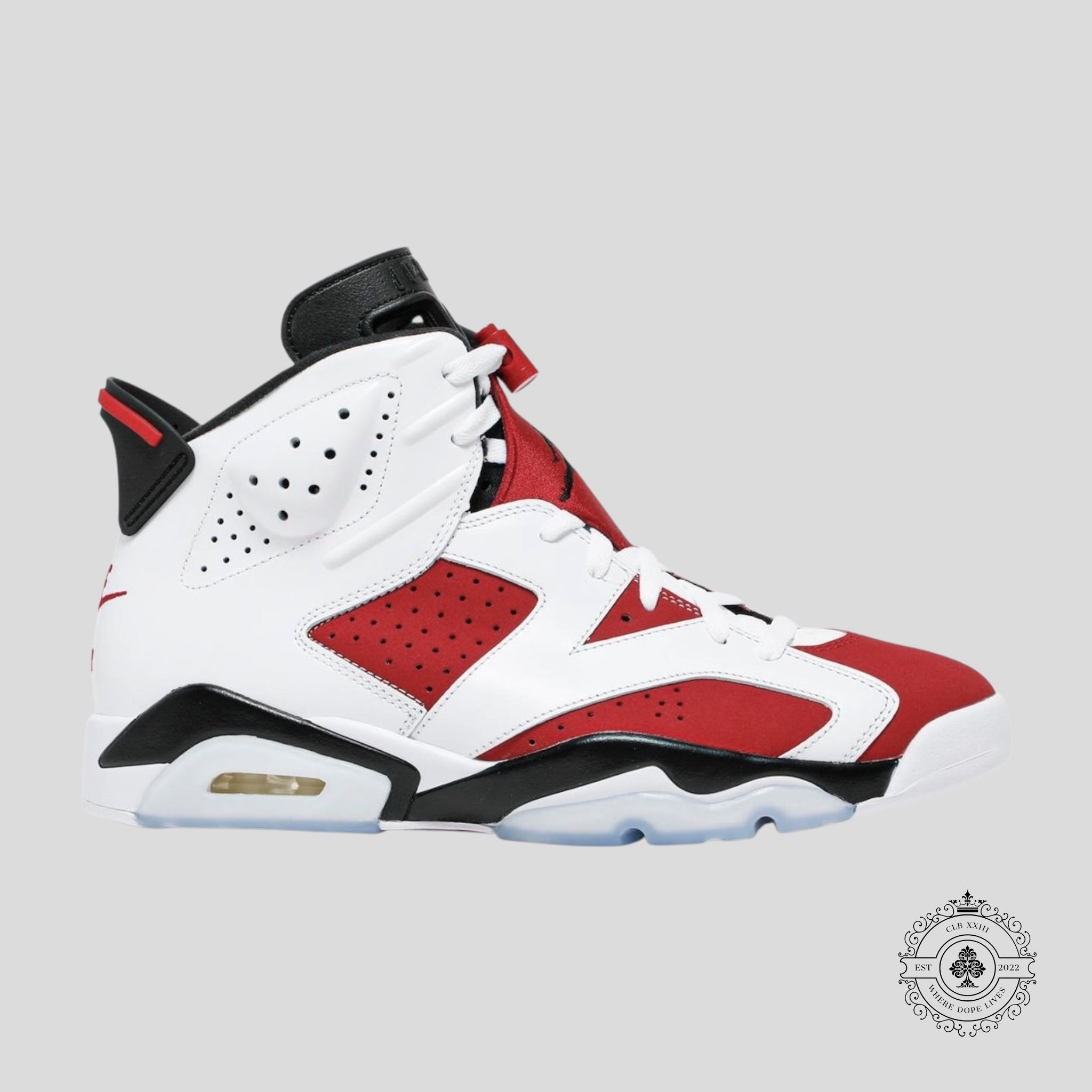 Air Jordan 6 Retro Carmine 2021