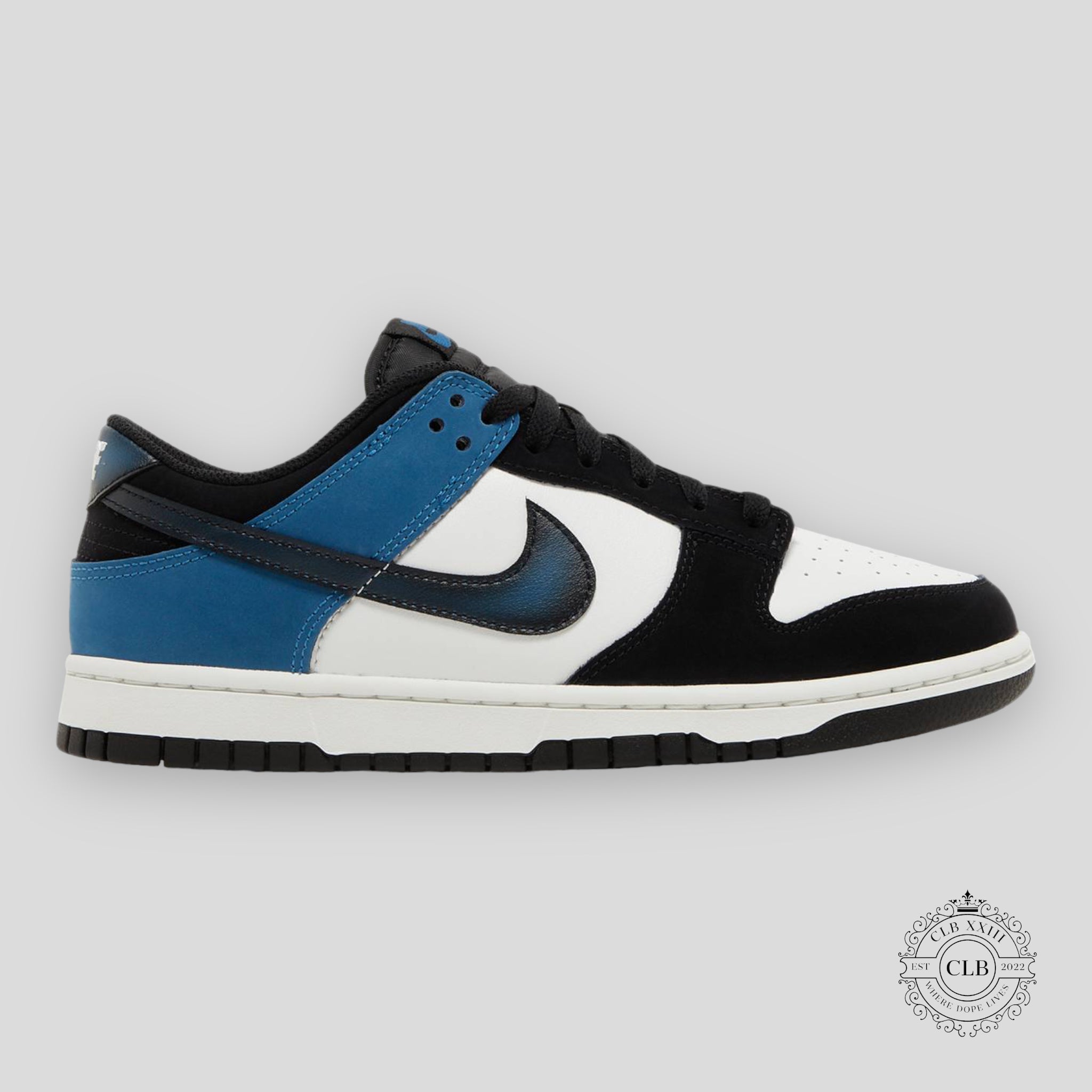 Nike Dunk Low Airbrush - Industrial Blue