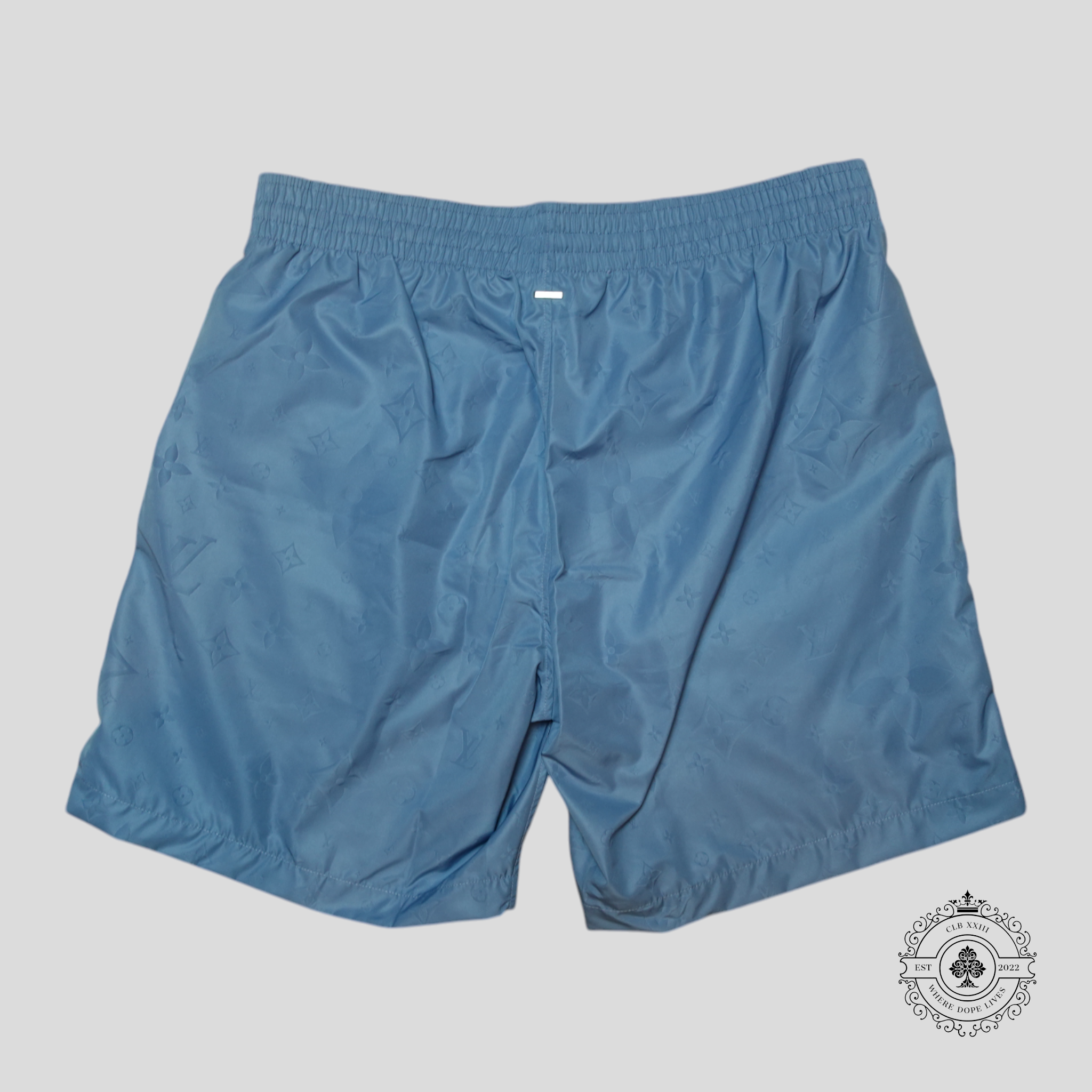 Louis Vuitton Lvse Signature Swim Board Shorts in Blue