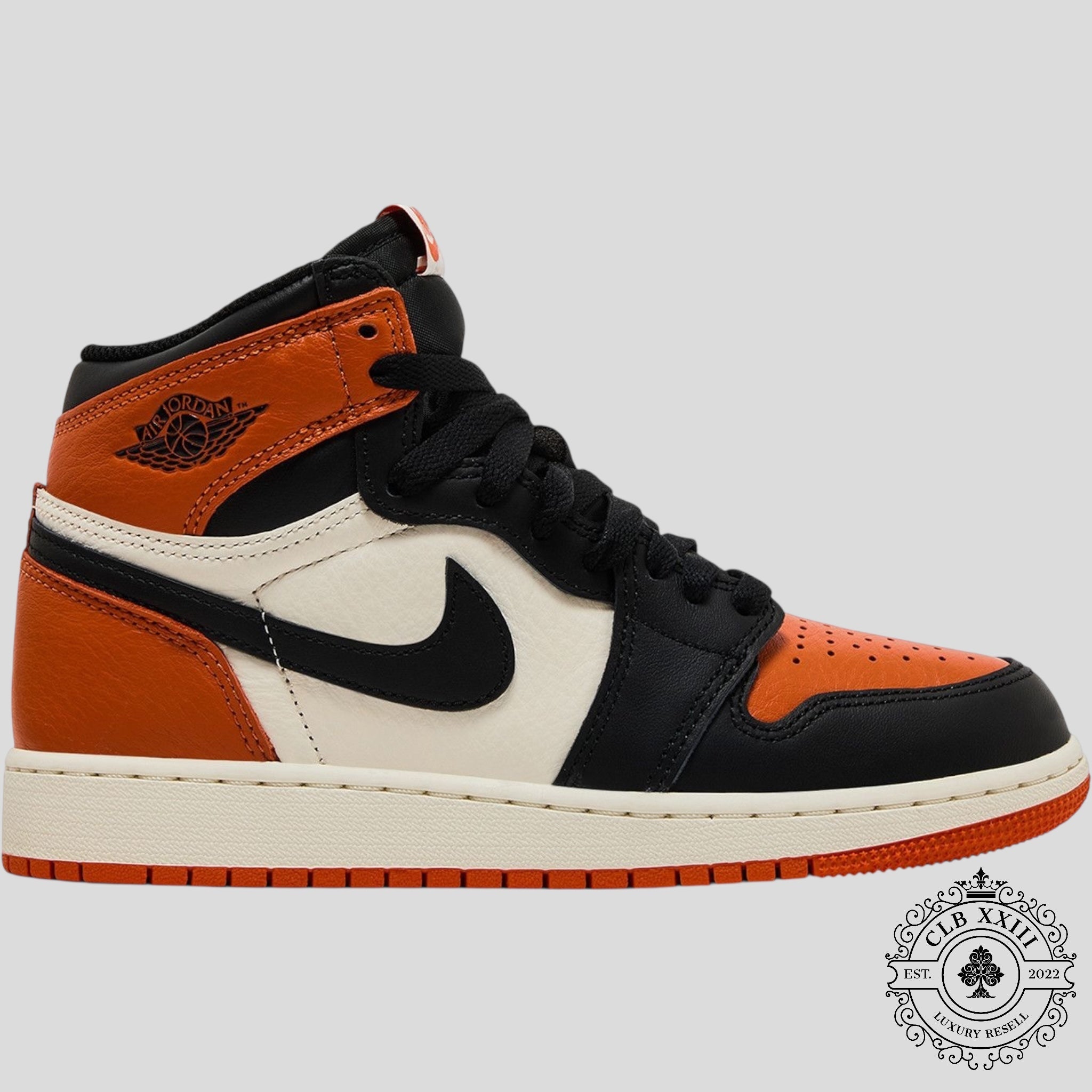 Air Jordan 1 Retro High OG Shattered Backboard 2025 GS