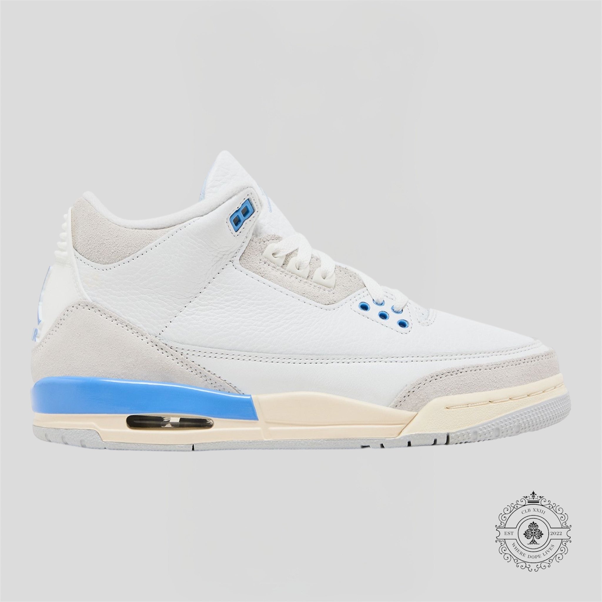 Air Jordan 3 Retro Lucky Shorts GS