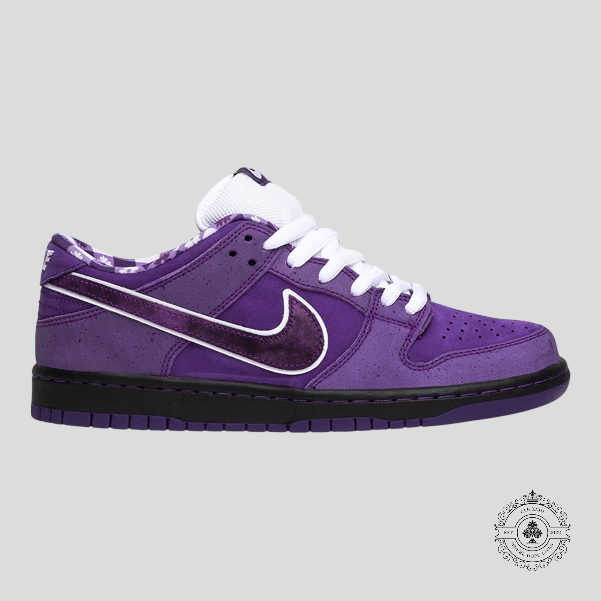 Nike SB Dunk Low Concepts Purple Lobster Special Box