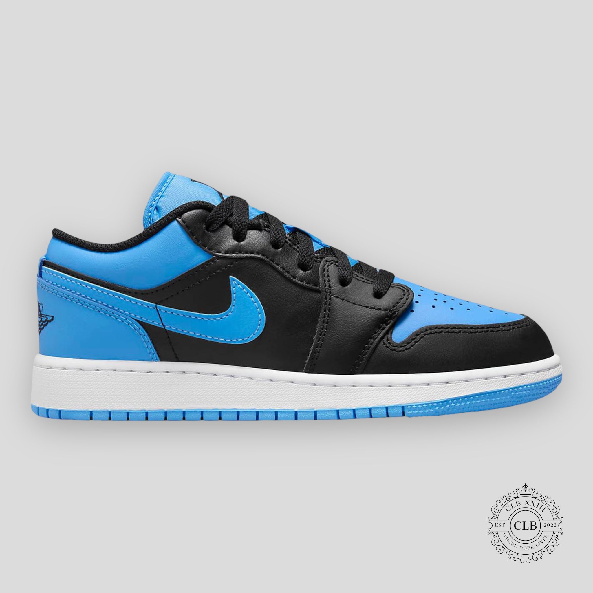 Air Jordan 1 Low GS University Blue