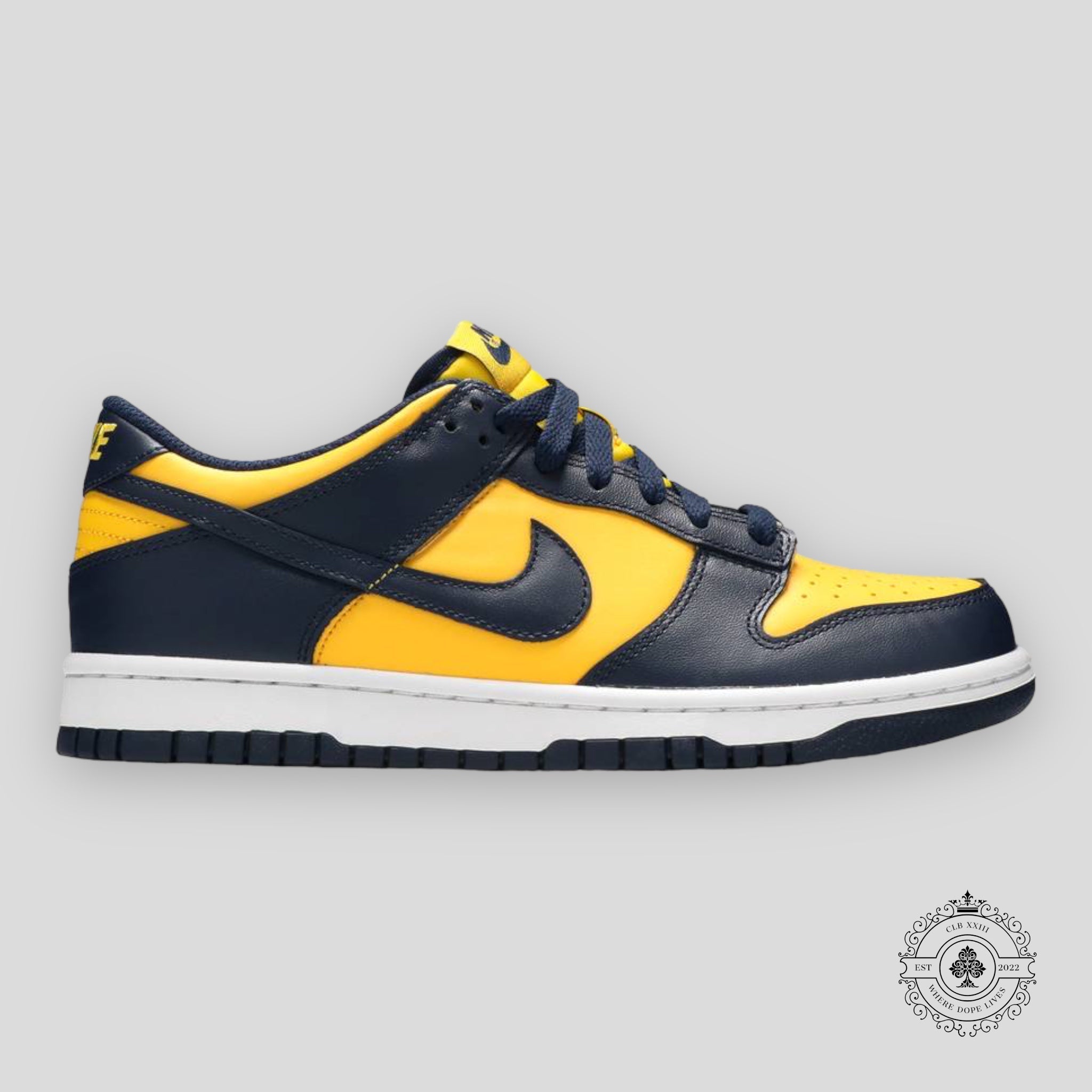 Nike Dunk Low GS Michigan