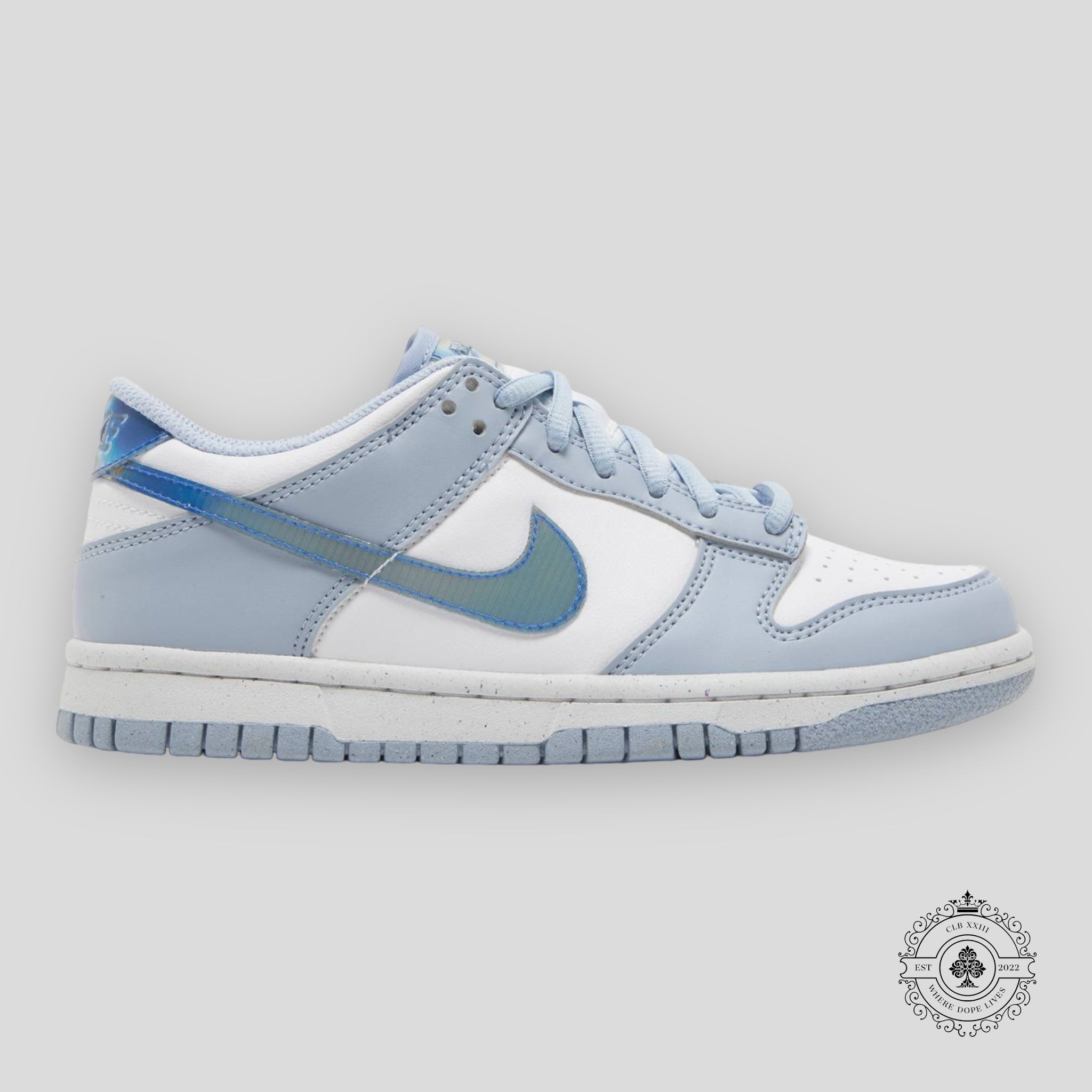 Nike Dunk Low GS Next Nature Blue Whisper Iridescent
