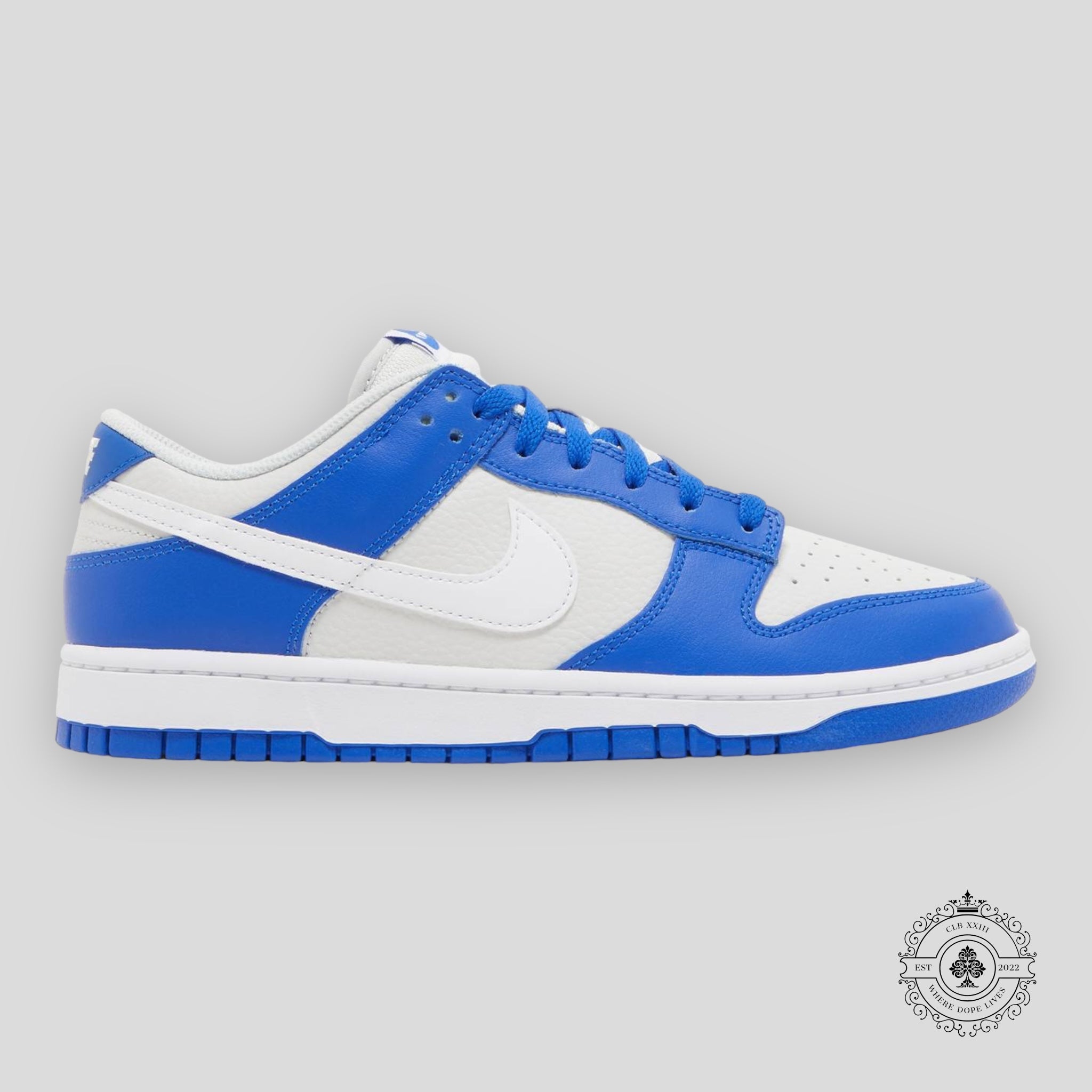 Nike Dunk Low Racer Blue Photon Dust