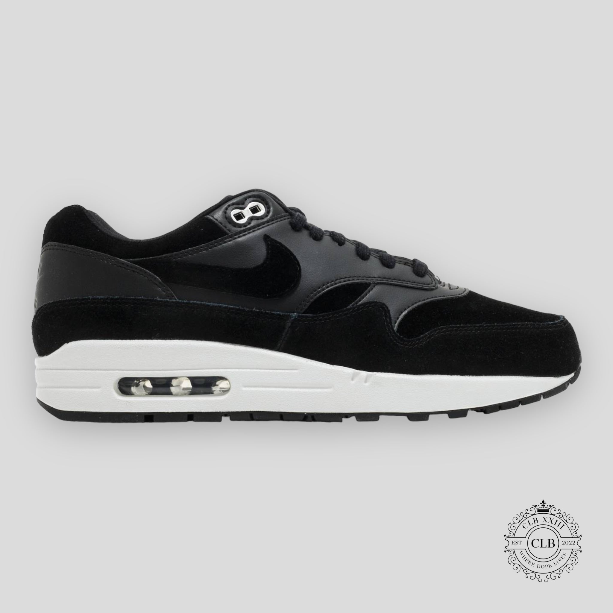 Nike Air Max 1 Rebel Skulls