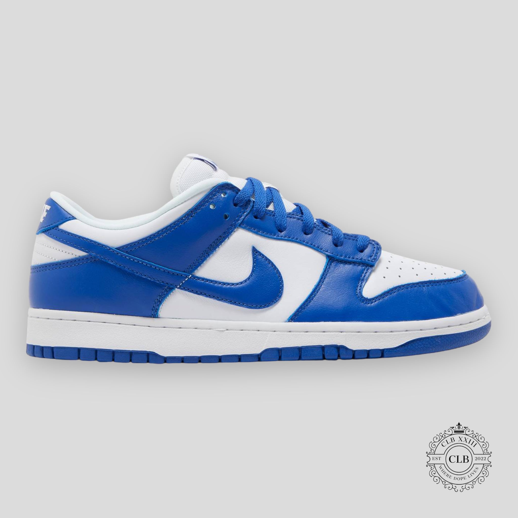 Nike Dunk Low SP Kentucky