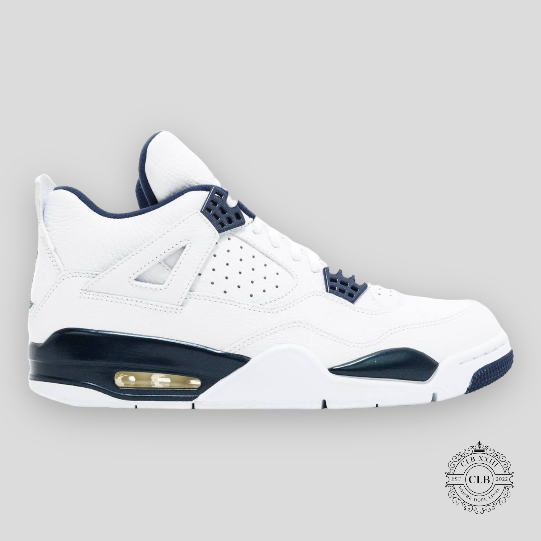 Air Jordan 4 Retro Columbia