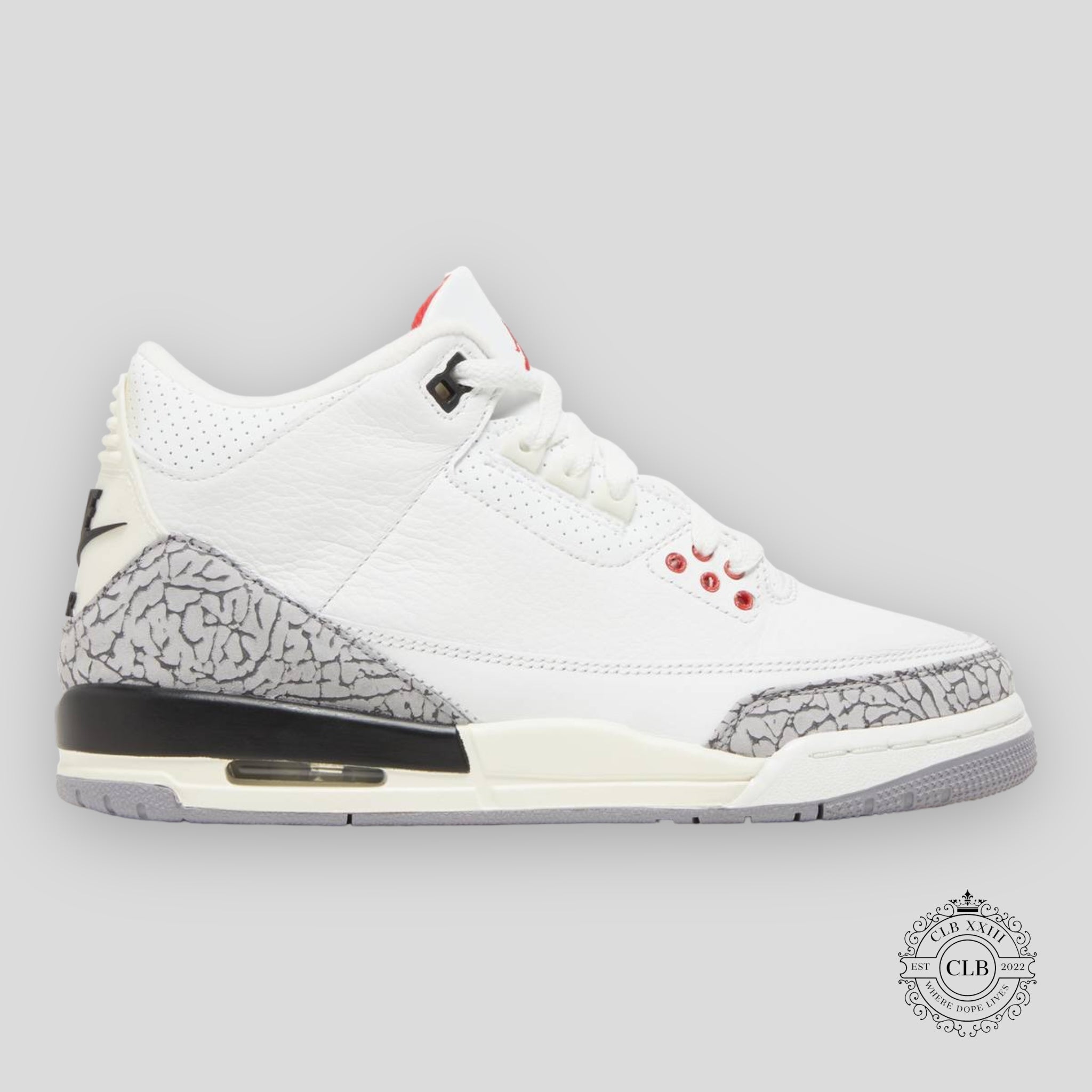 Air Jordan 3 Retro GS White Cement Reimagined
