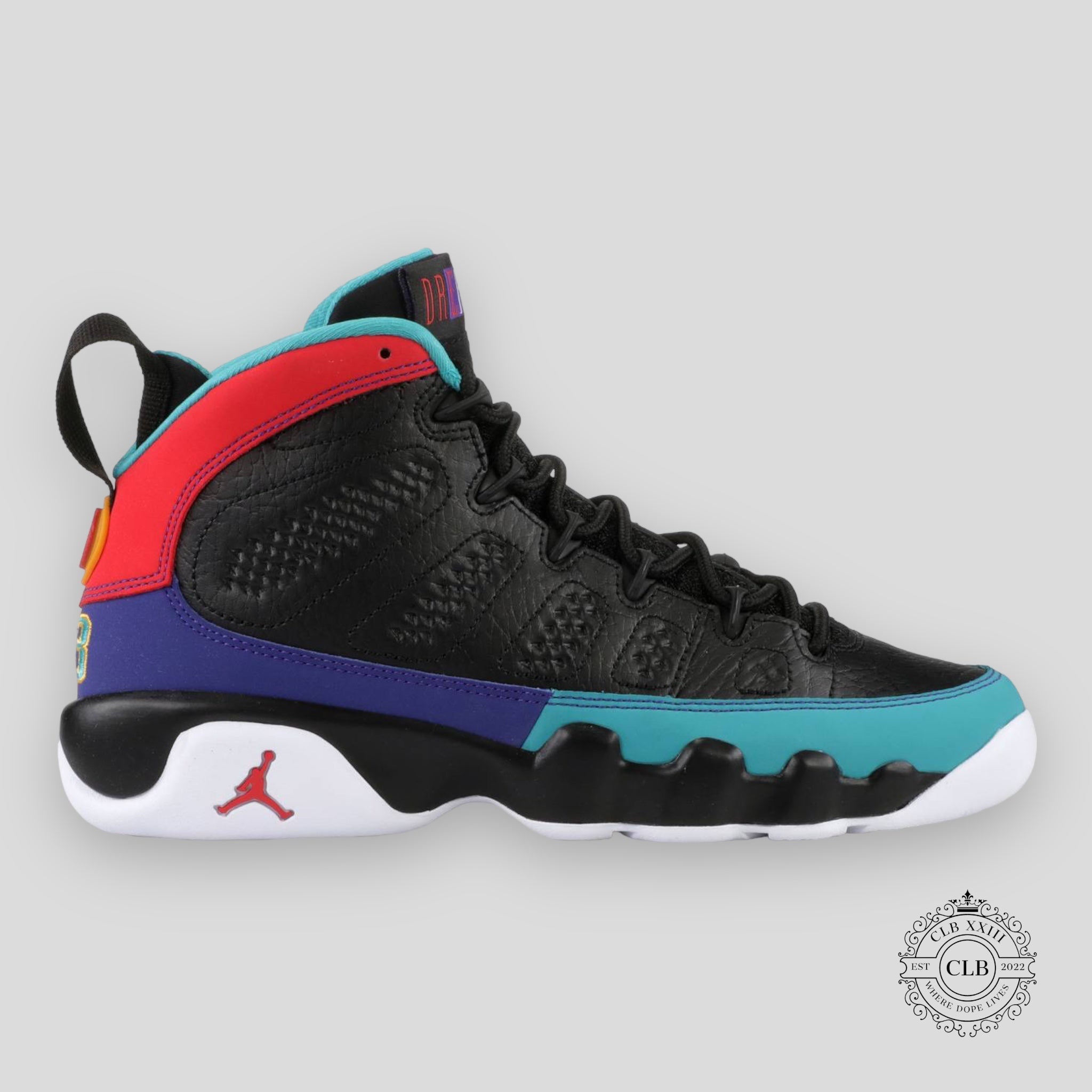 Air Jordan 9 Retro GS Dream It Do It