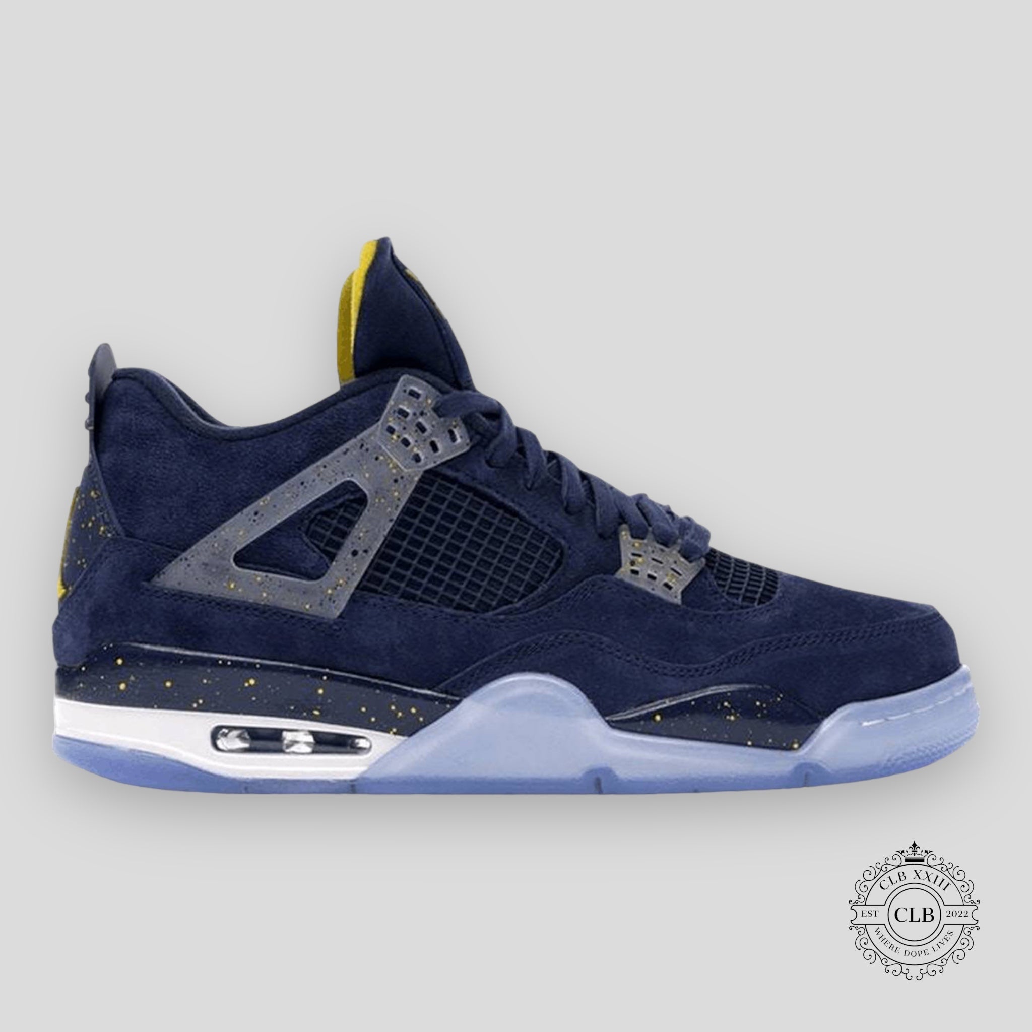 Air Jordan 4 Retro Michigan PE
