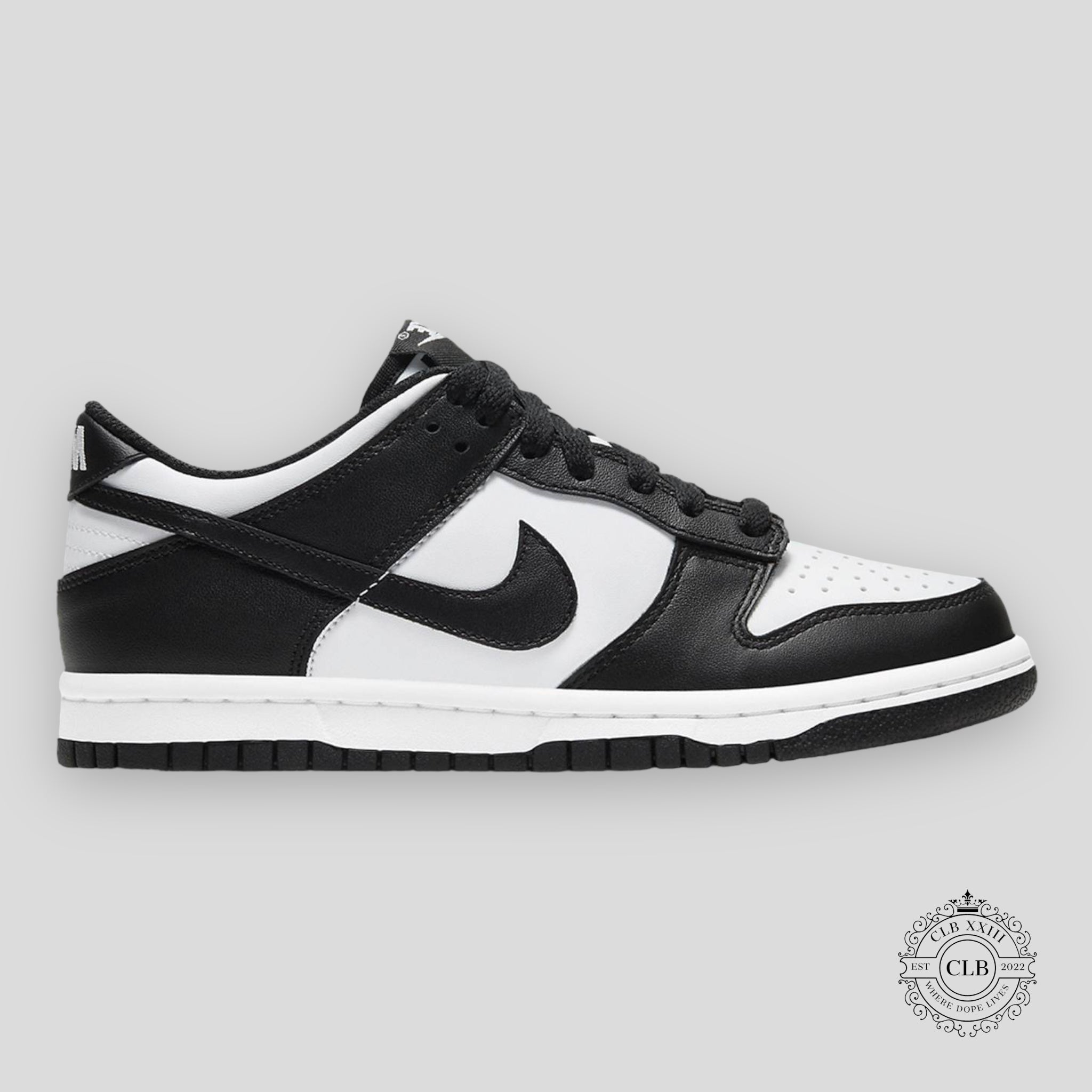 Nike Dunk Low GS Panda