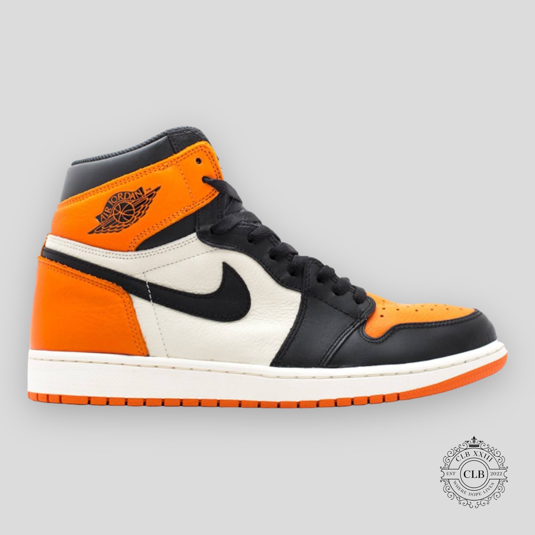 Air Jordan 1 Retro High OG Shattered Backboard