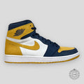 Air Jordan 1 Retro High OG Michigan PE