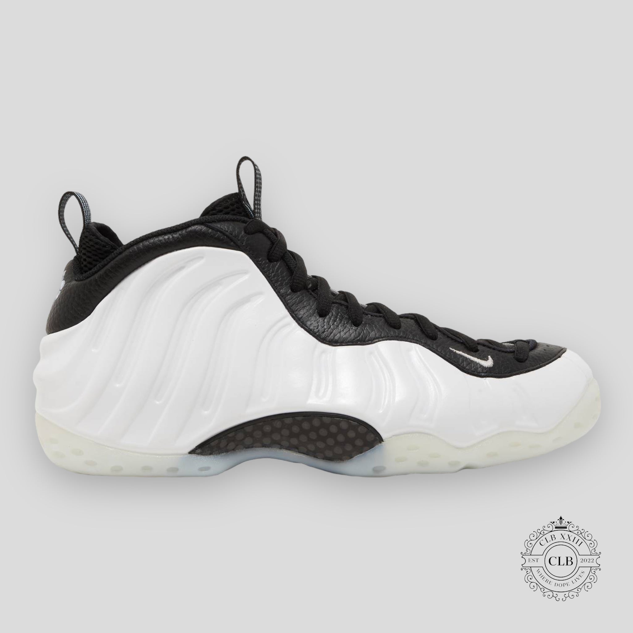 Nike Air Foamposite One Penny PE