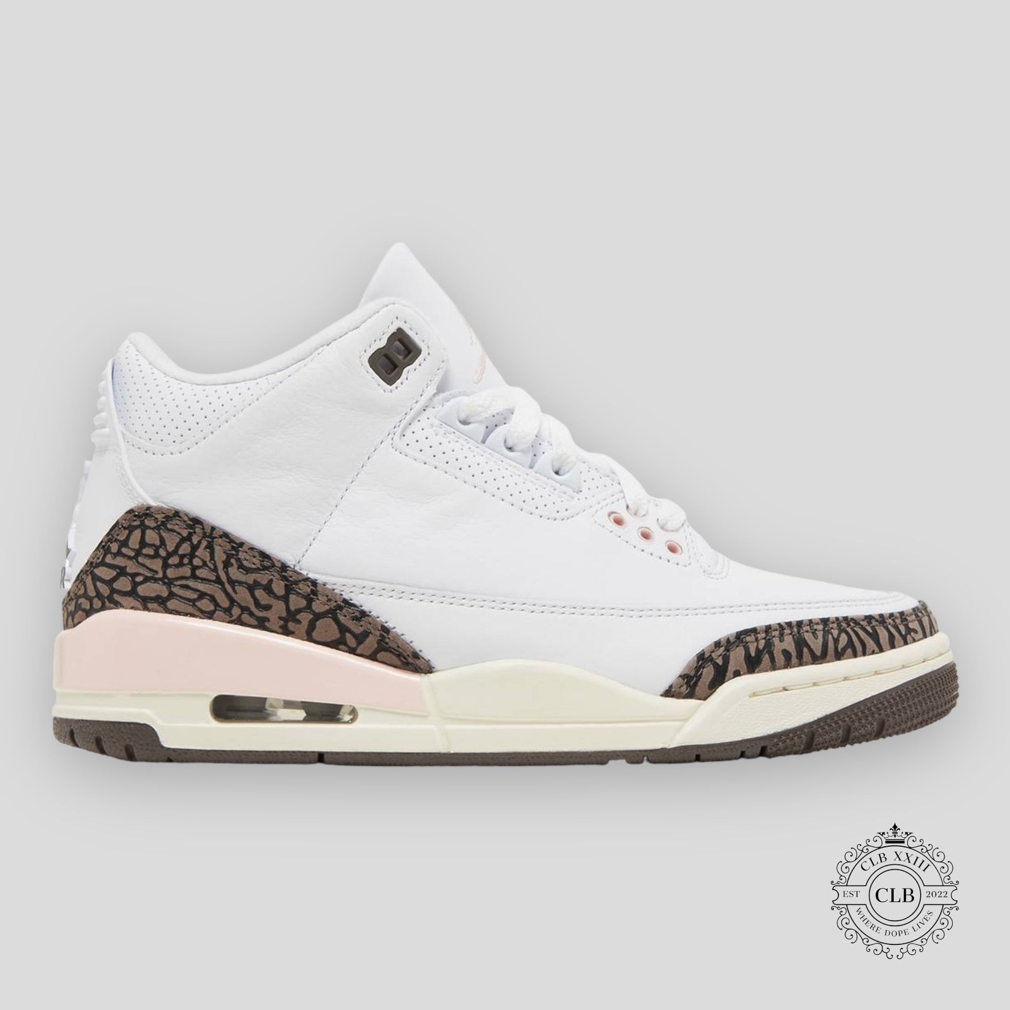 Air Jordan 3 Retro W Neapolitan