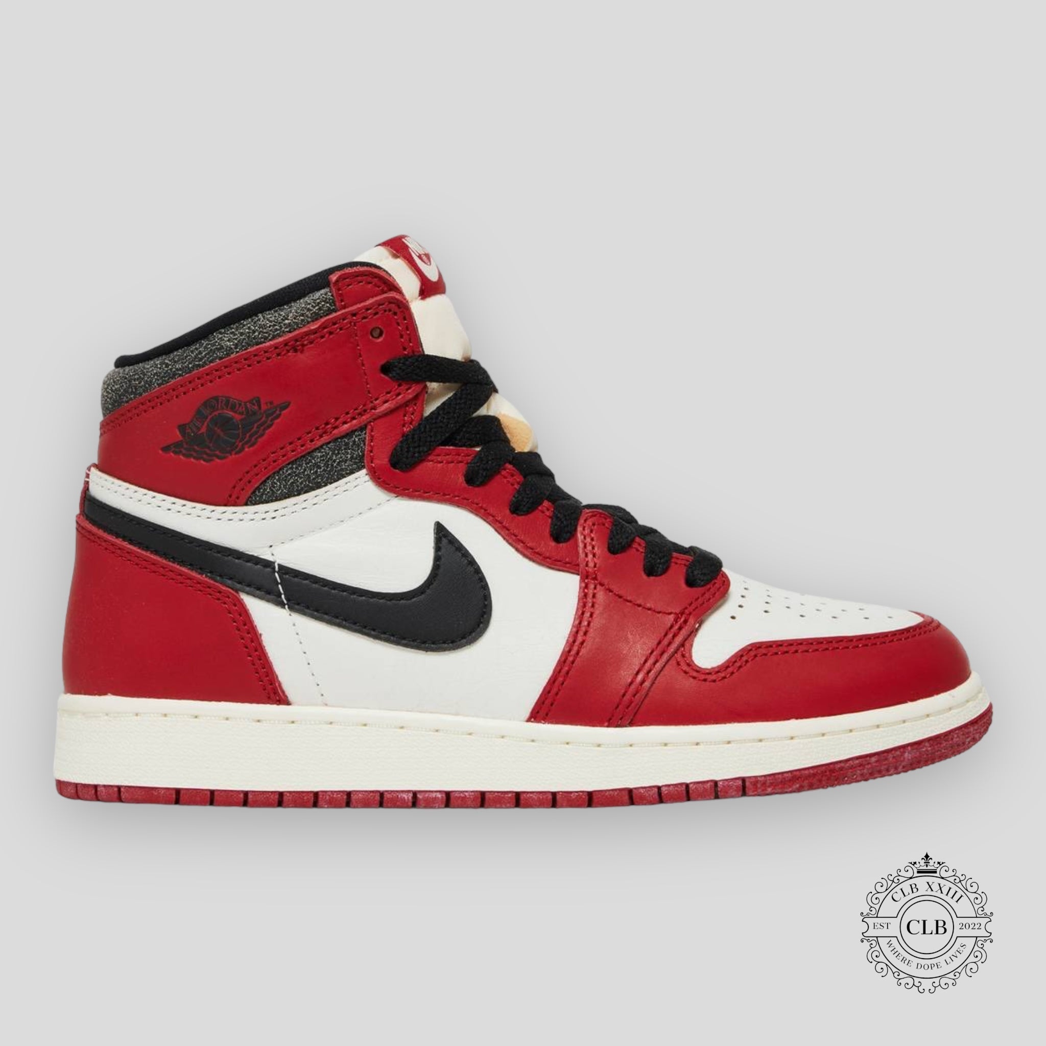 Air Jordan 1 Retro High OG GS Lost and Found