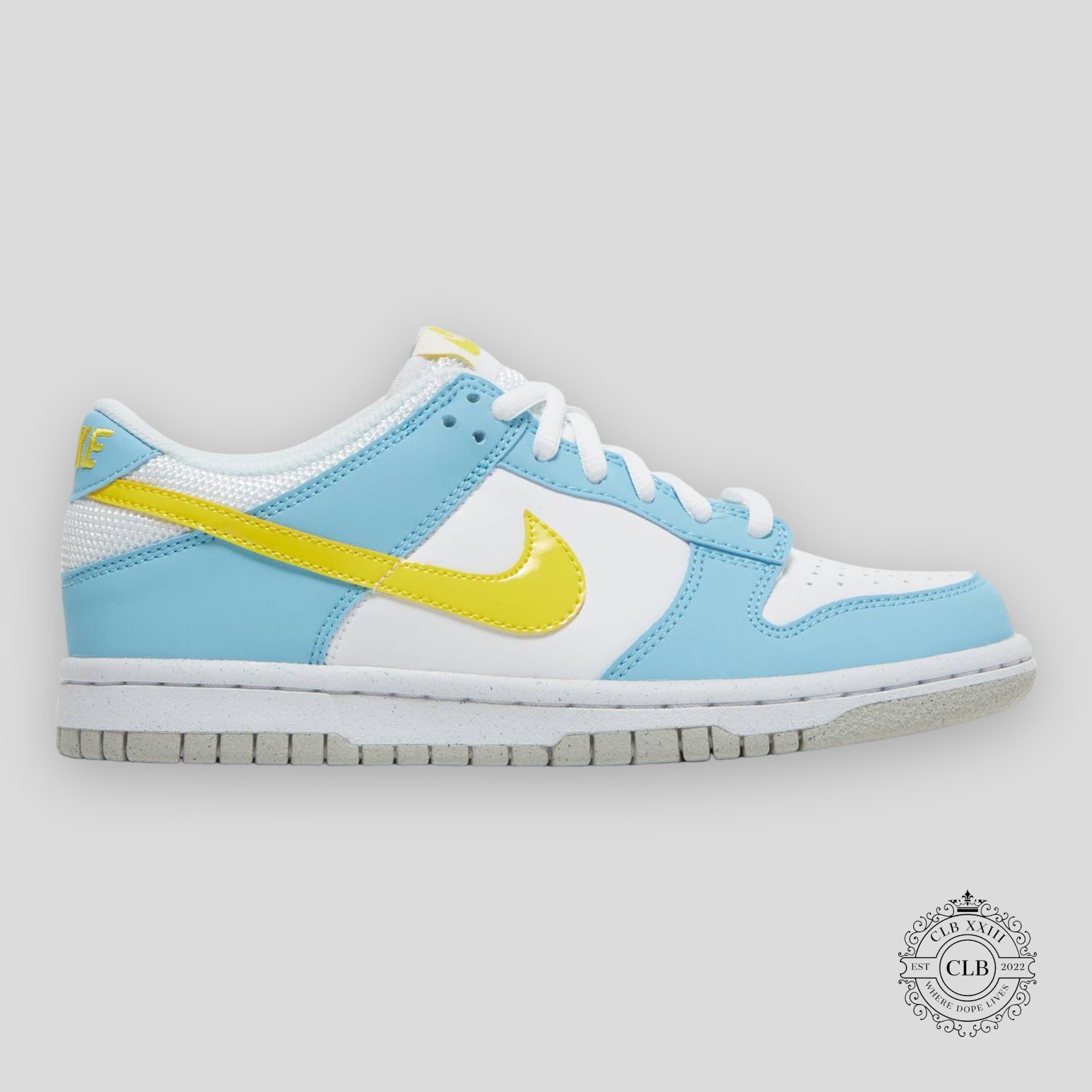 Nike Dunk Low Next Nature GS Homer