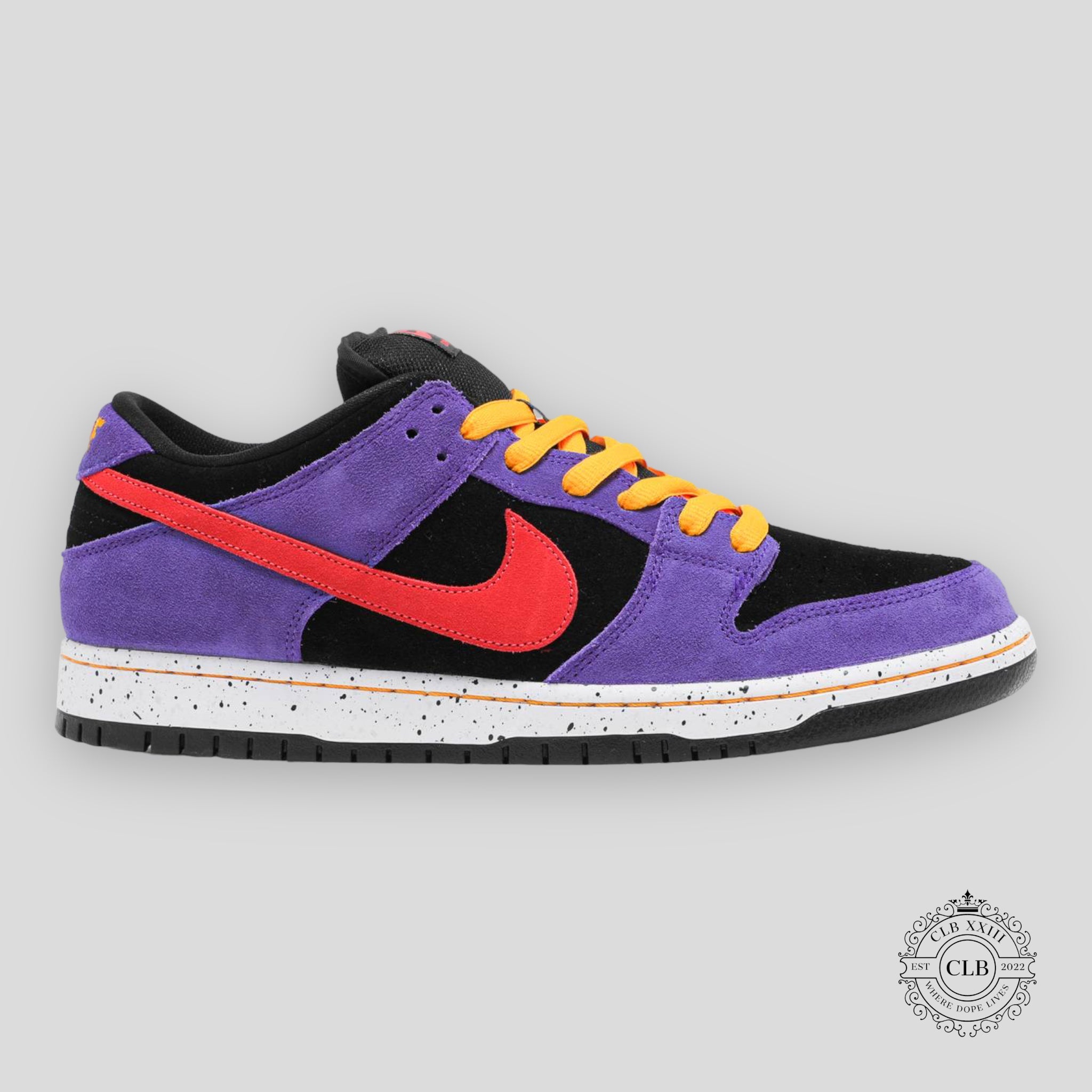 Nike SB Dunk Low Acg Terra