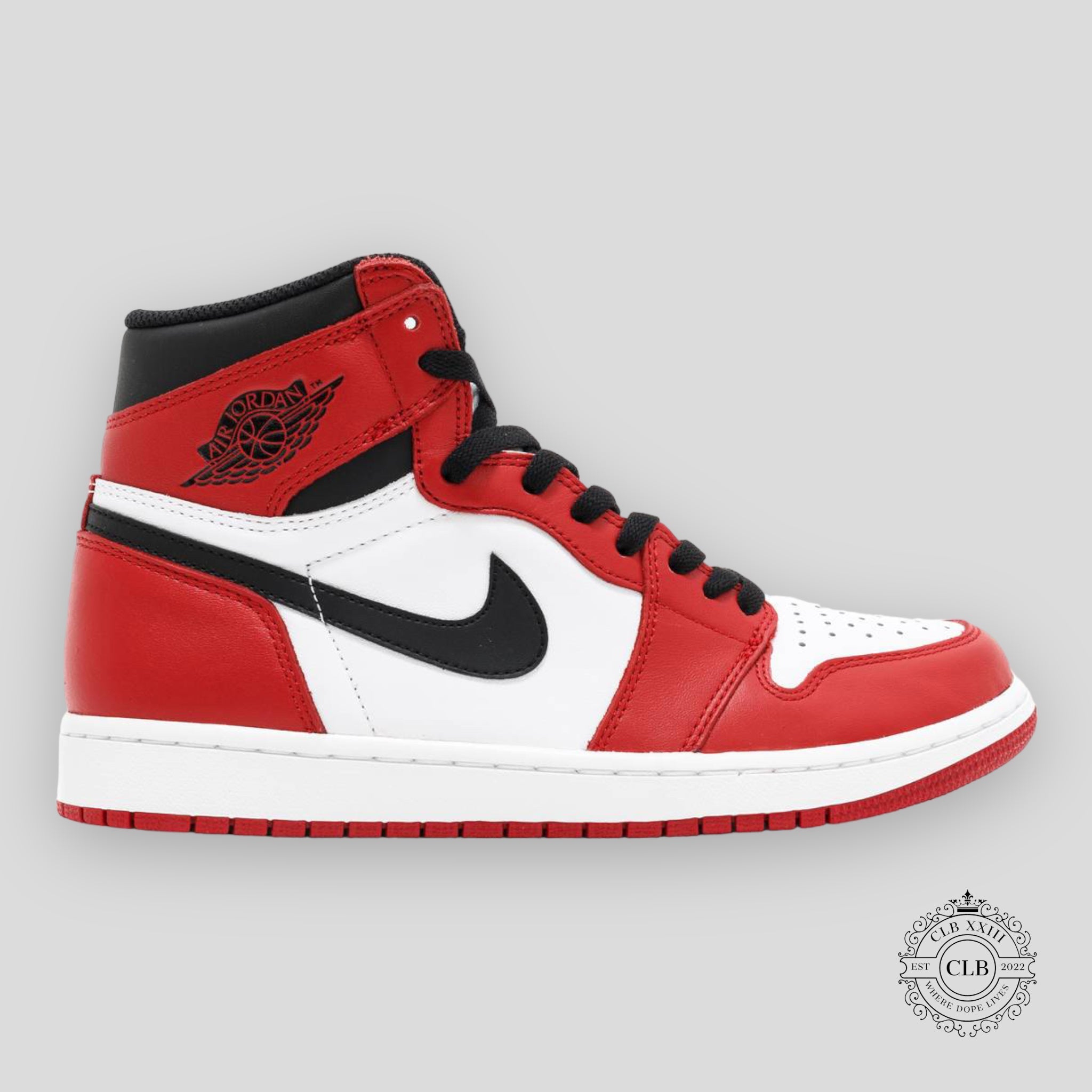 Air Jordan 1 Retro High OG Chicago 2015