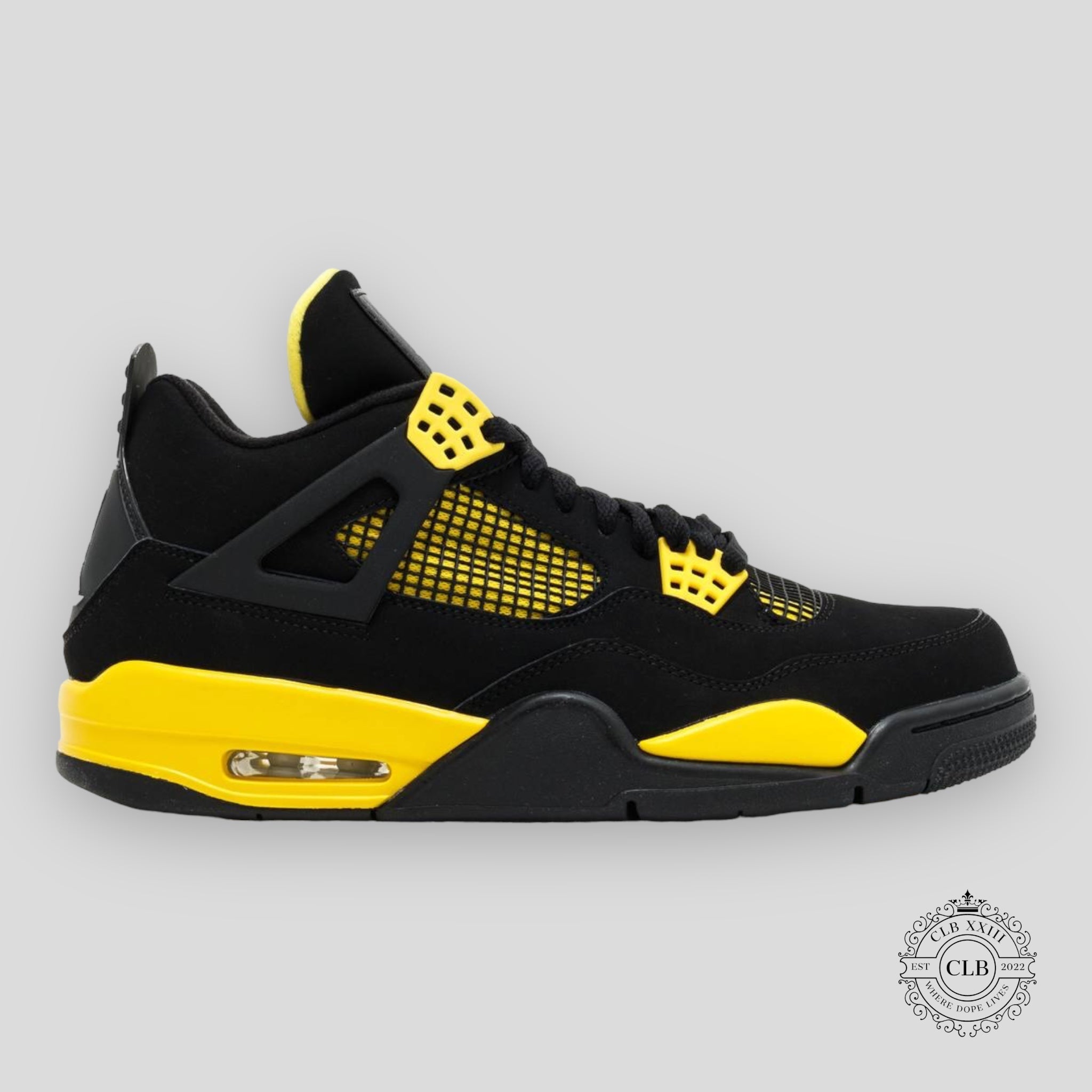 Air Jordan 4 Retro Thunder 2012