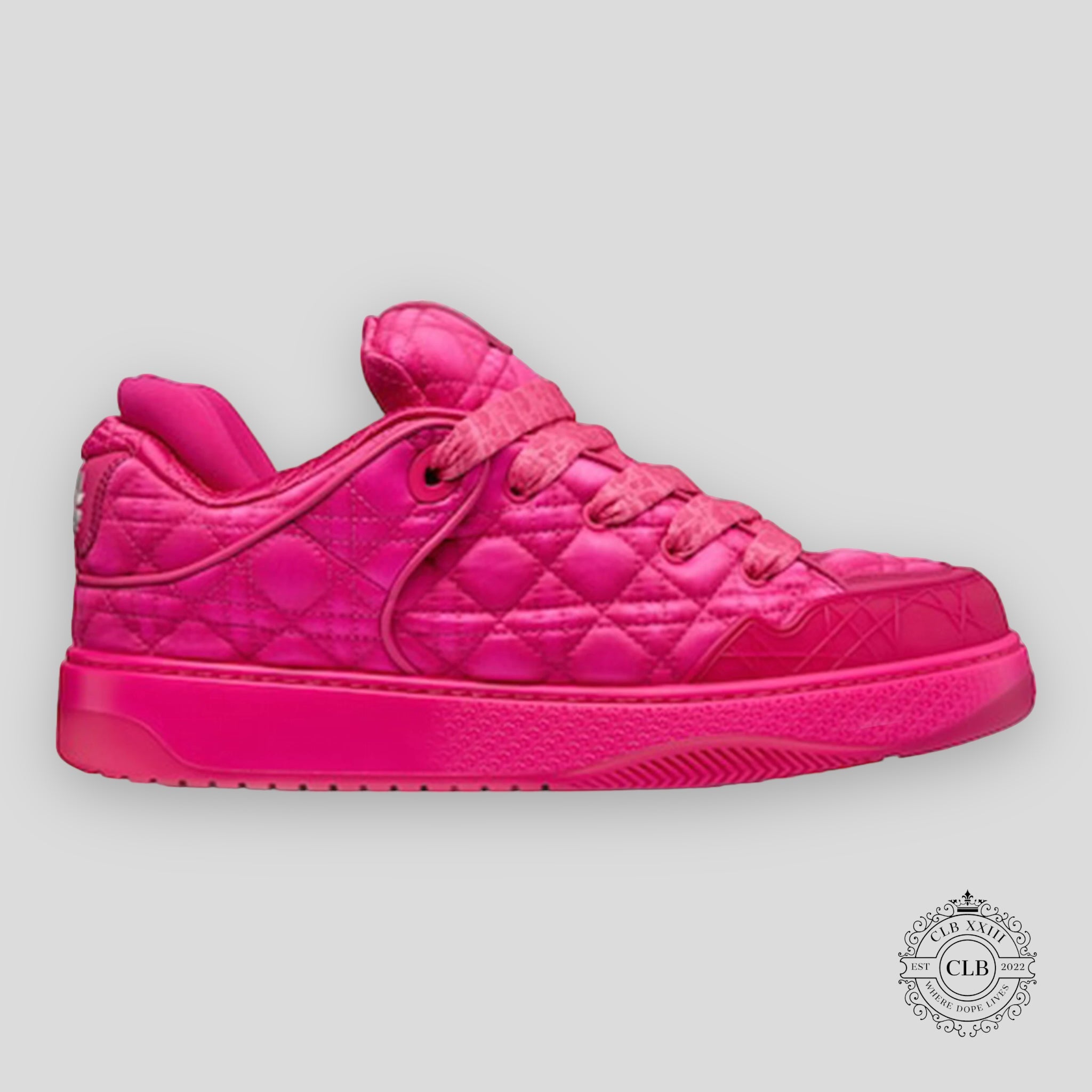 Christian Dior B9S Skater Sneaker Pink Quilted
