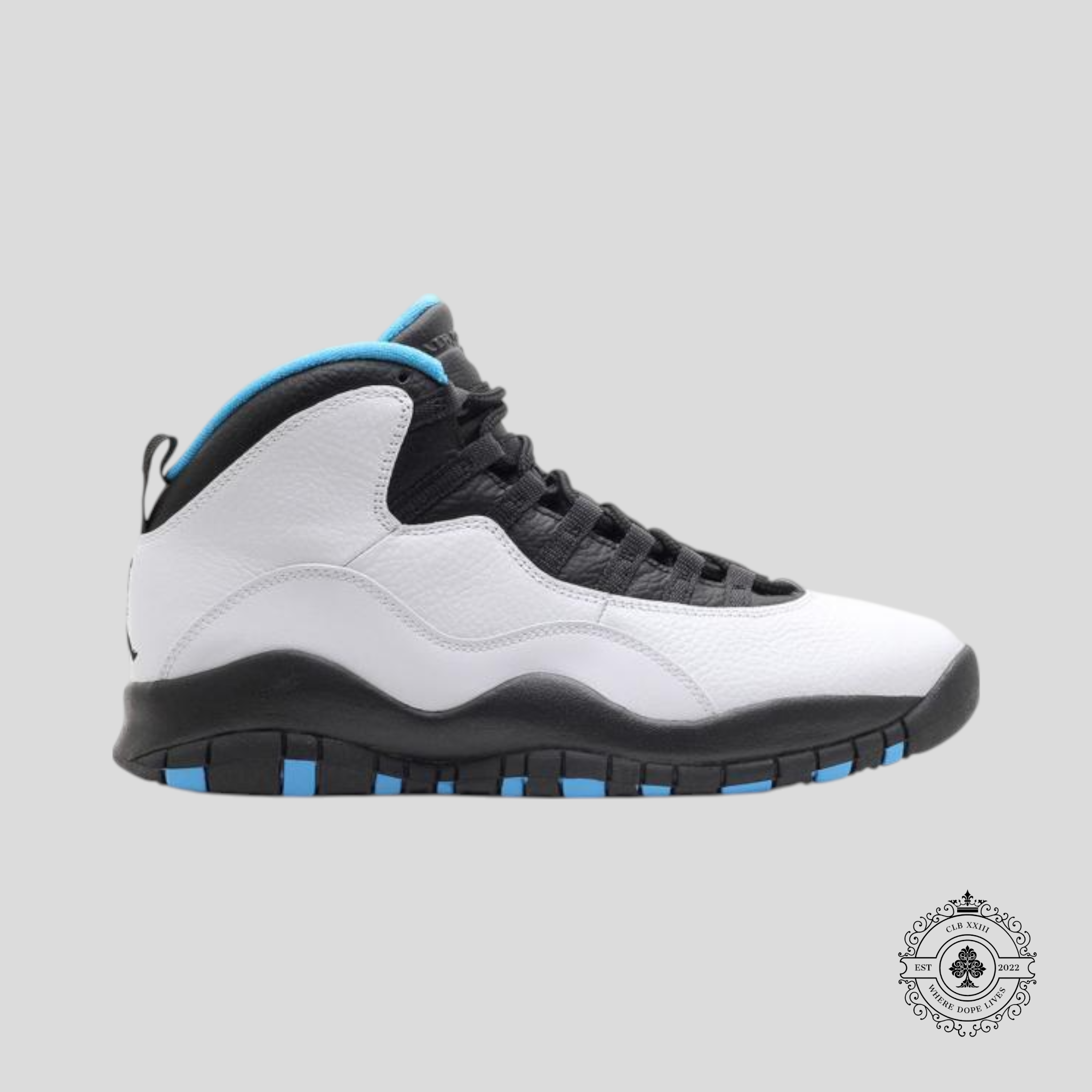 Air Jordan 10 Retro Powder Blue 2013